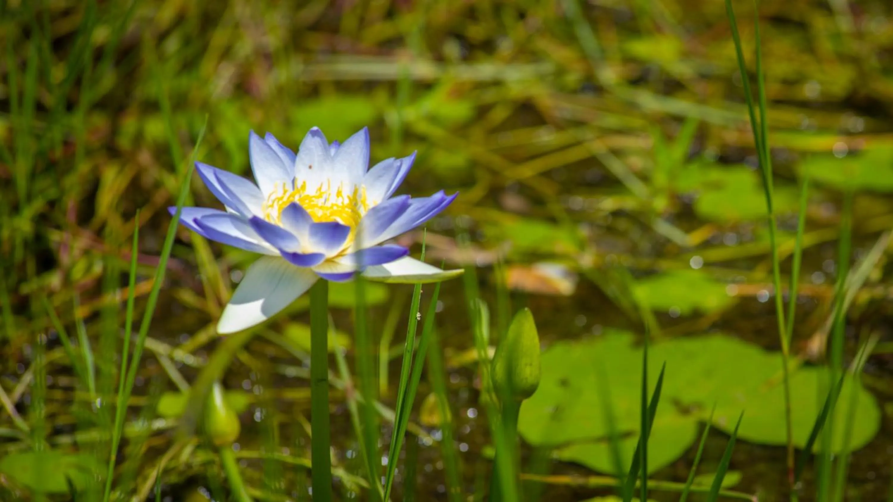 Natural landscape in Finniss River Lodge