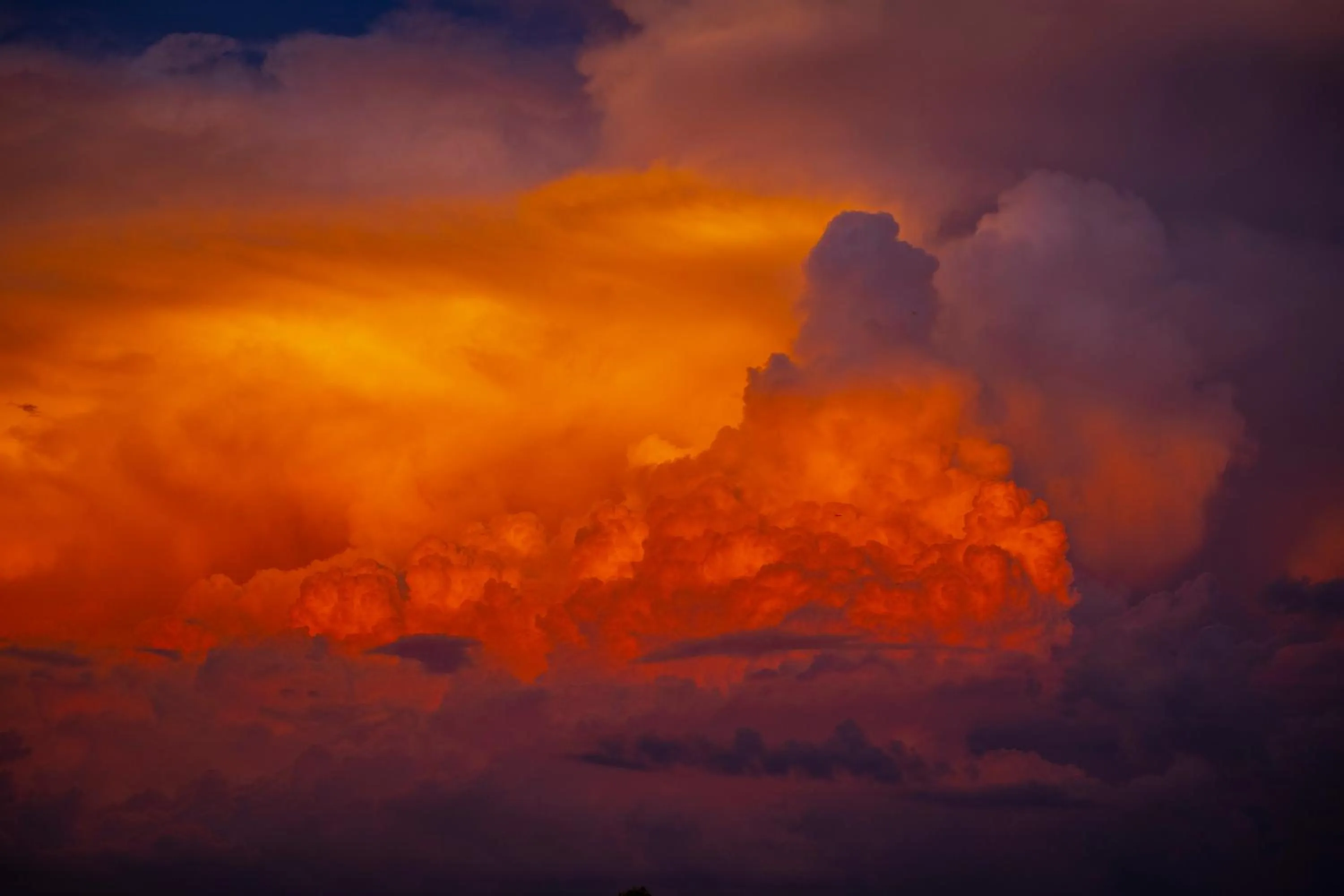 Natural landscape in Finniss River Lodge