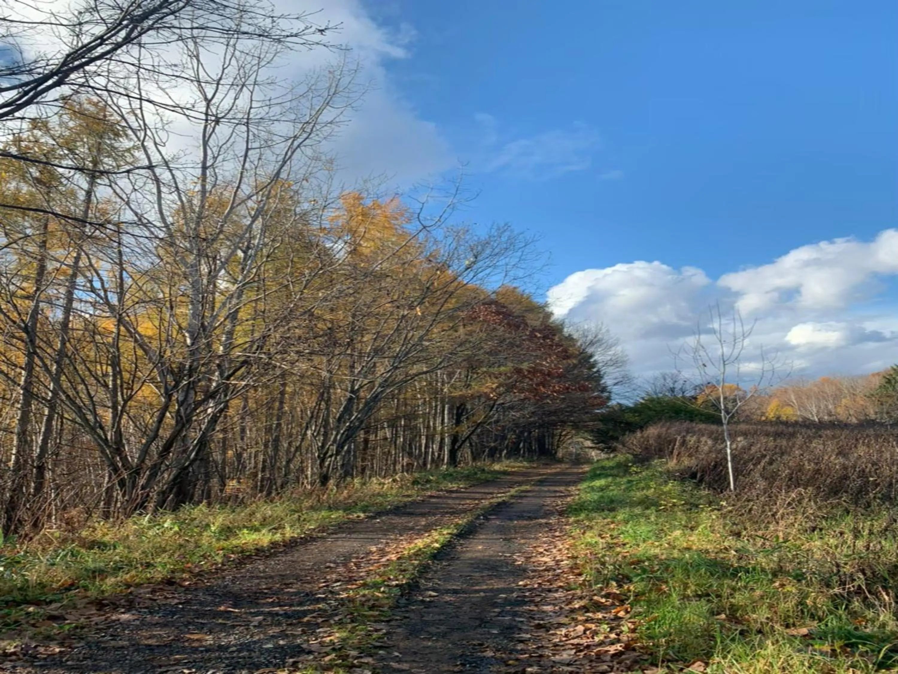 Off site in Maple Farm