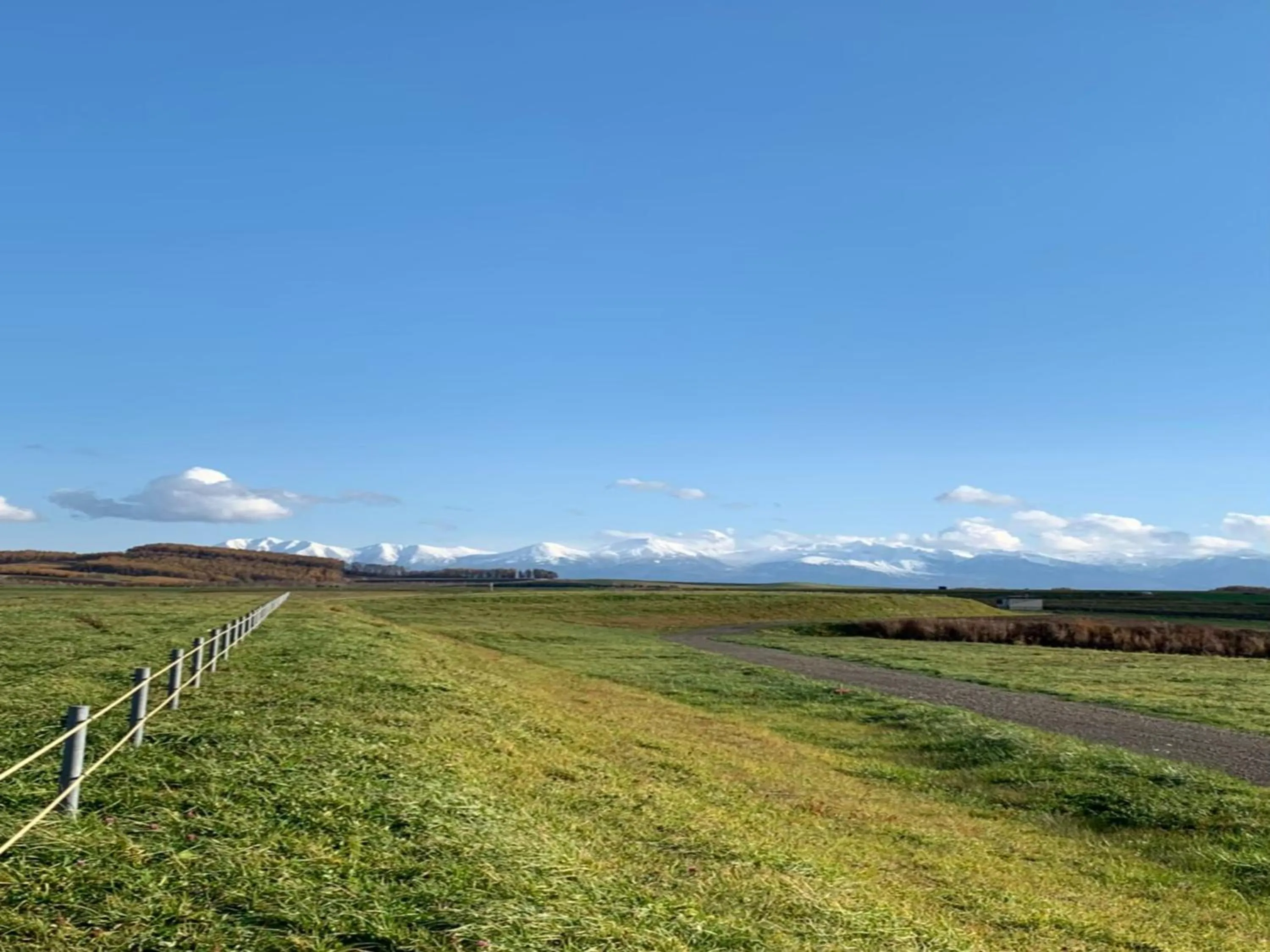 Off site in Maple Farm