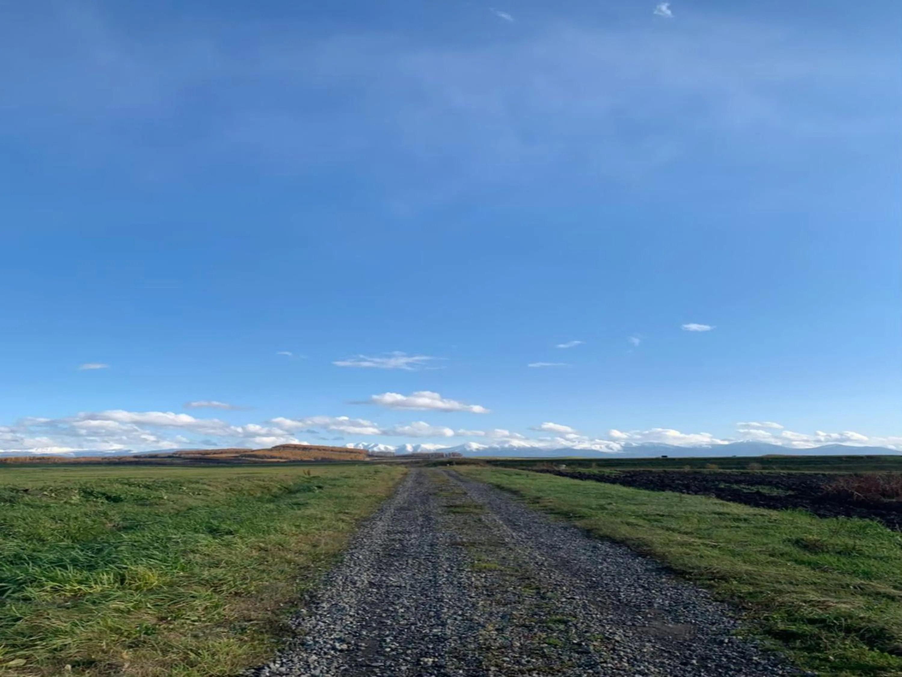 Off site in Maple Farm