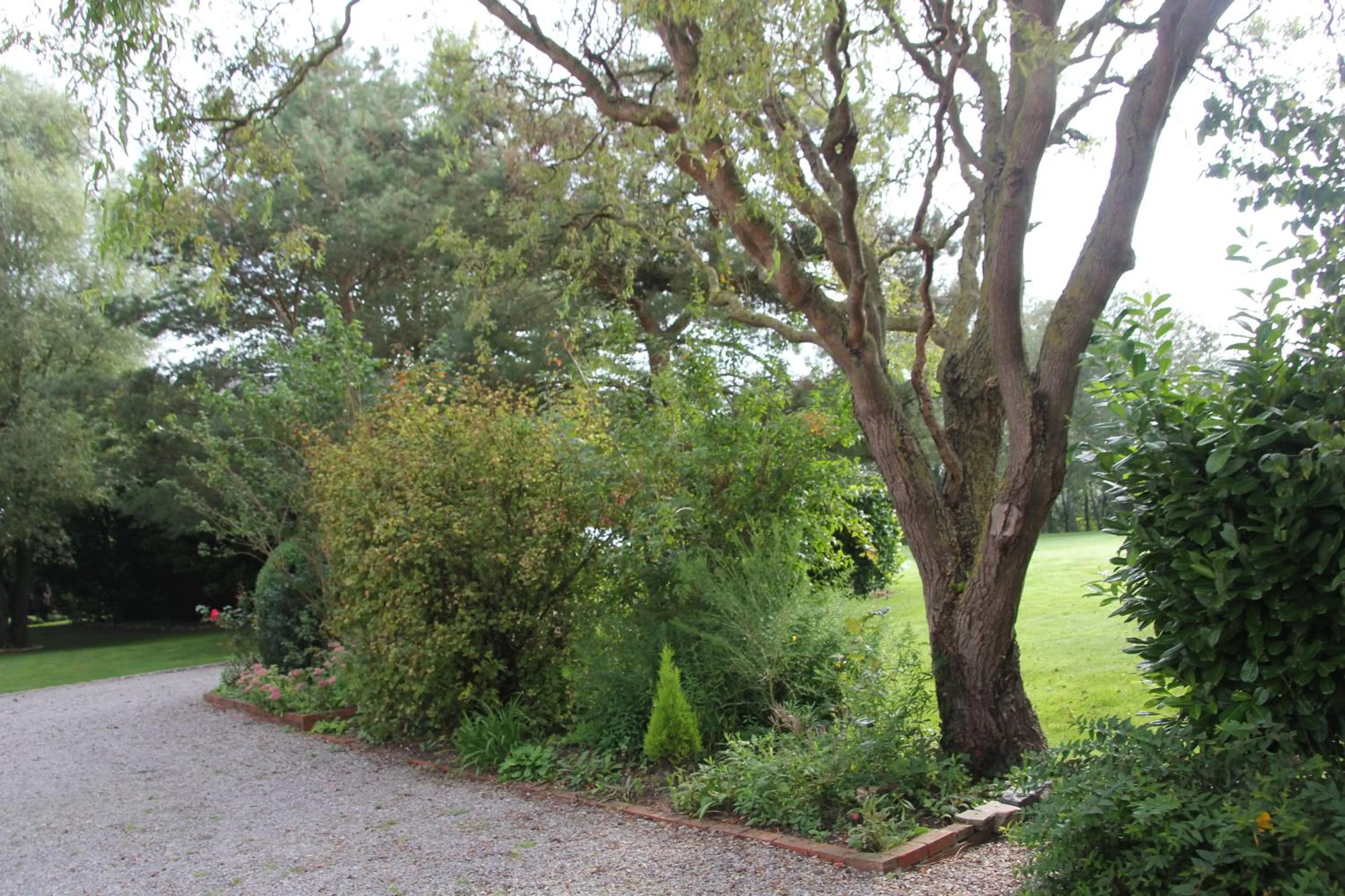 Garden in Au Coeur Des Hôtes