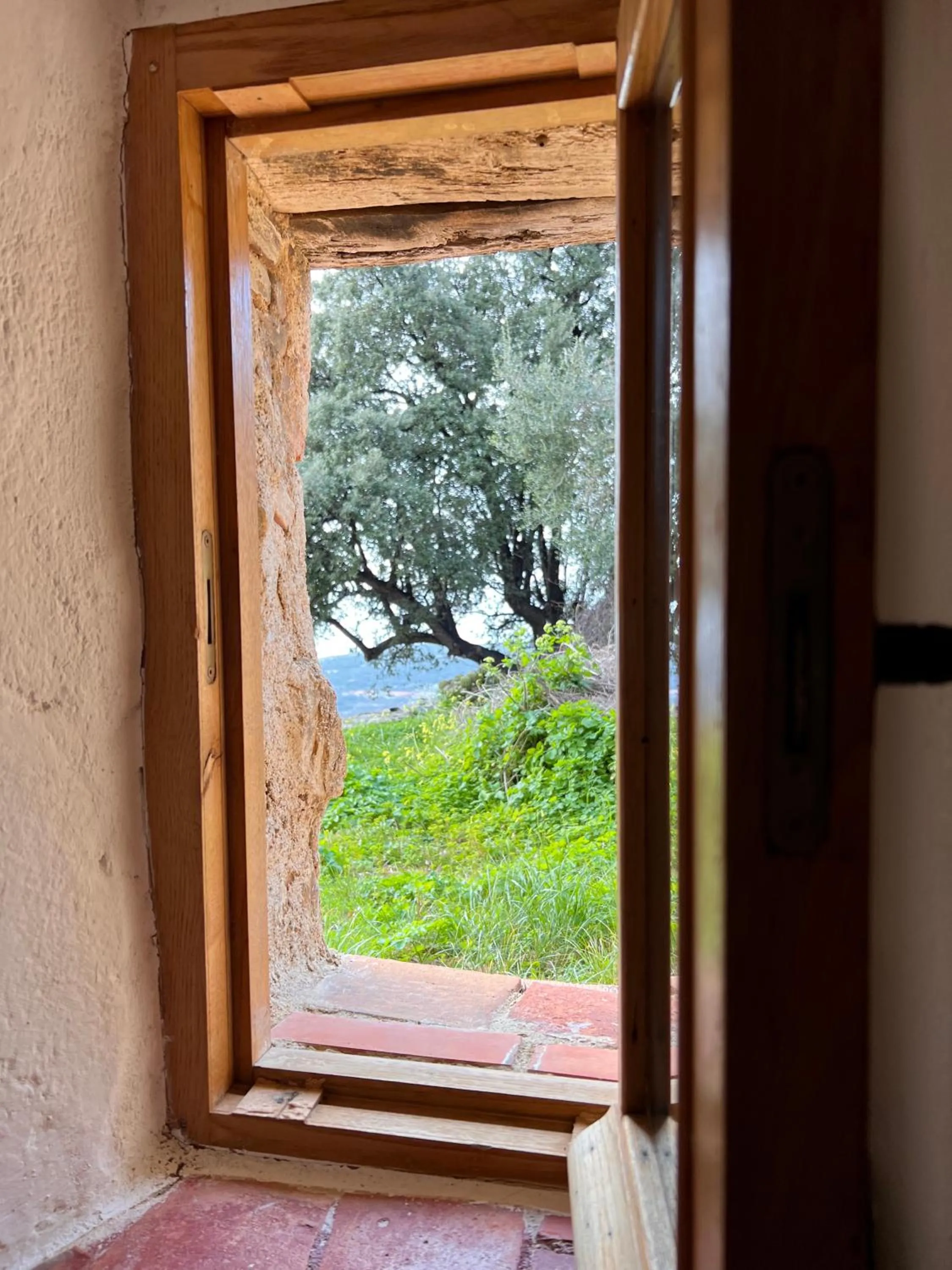 View (from property/room) in Casa Musicale