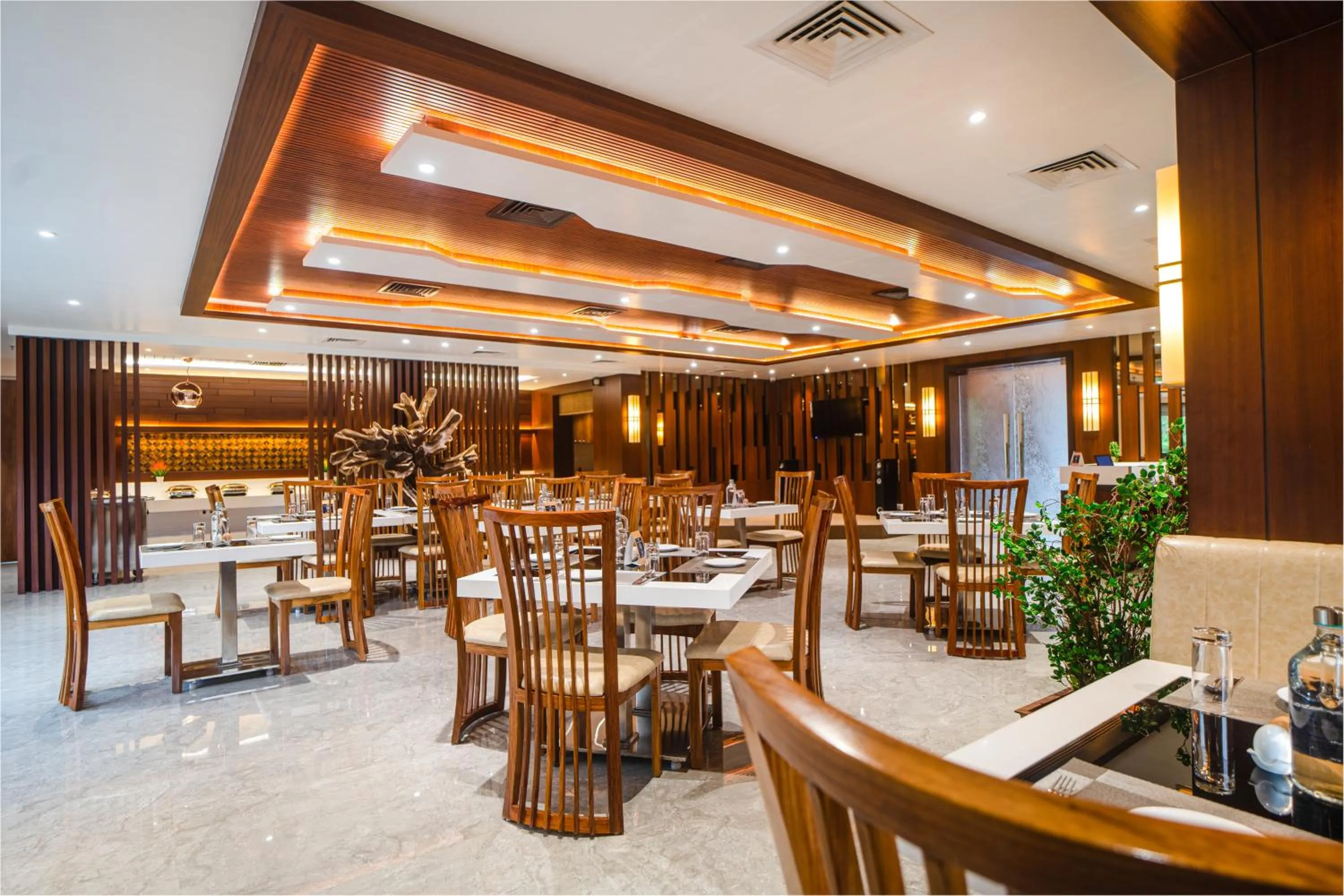 Restaurant/places to eat in Mansha Palace