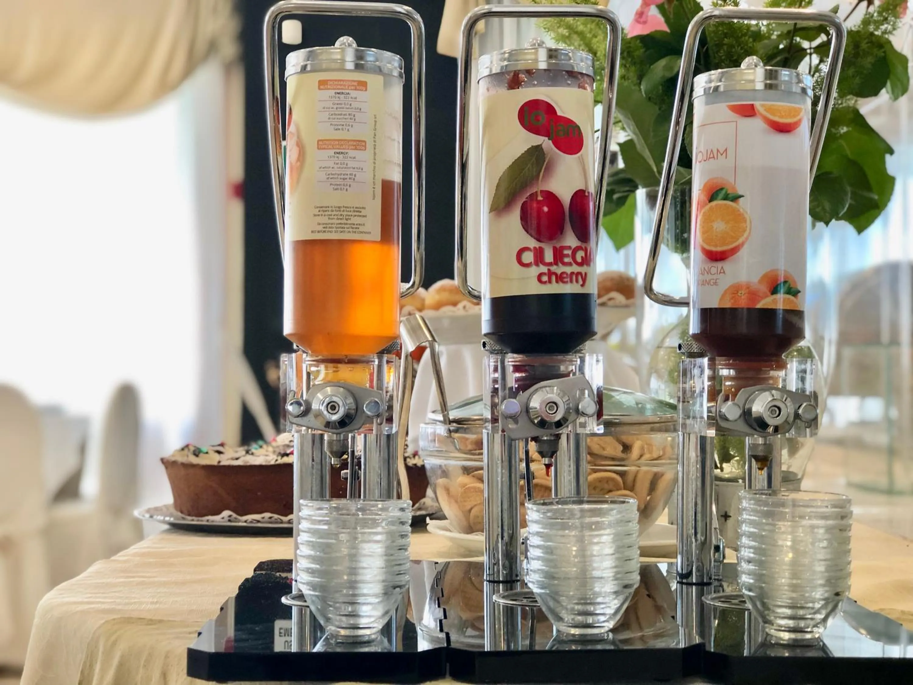 Buffet breakfast in Domizia Palace Hotel