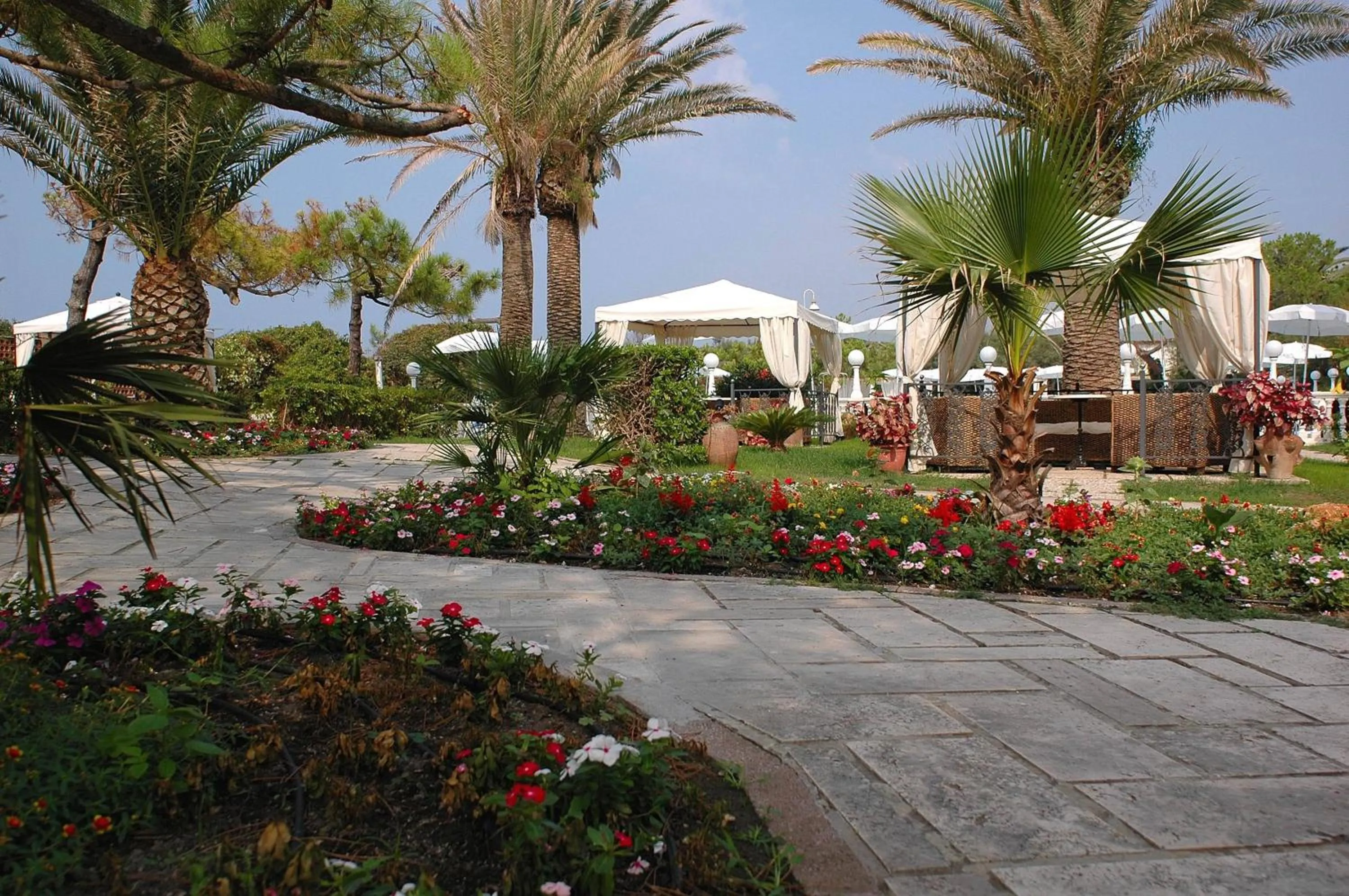 Garden in Domizia Palace Hotel