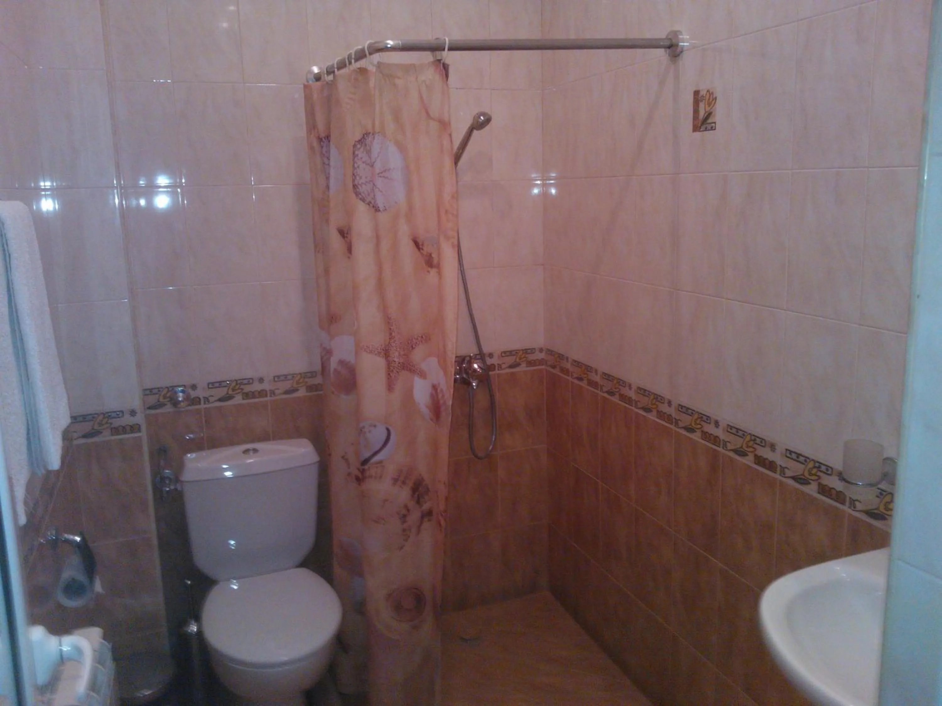 Bathroom in Hotel Tsarevets