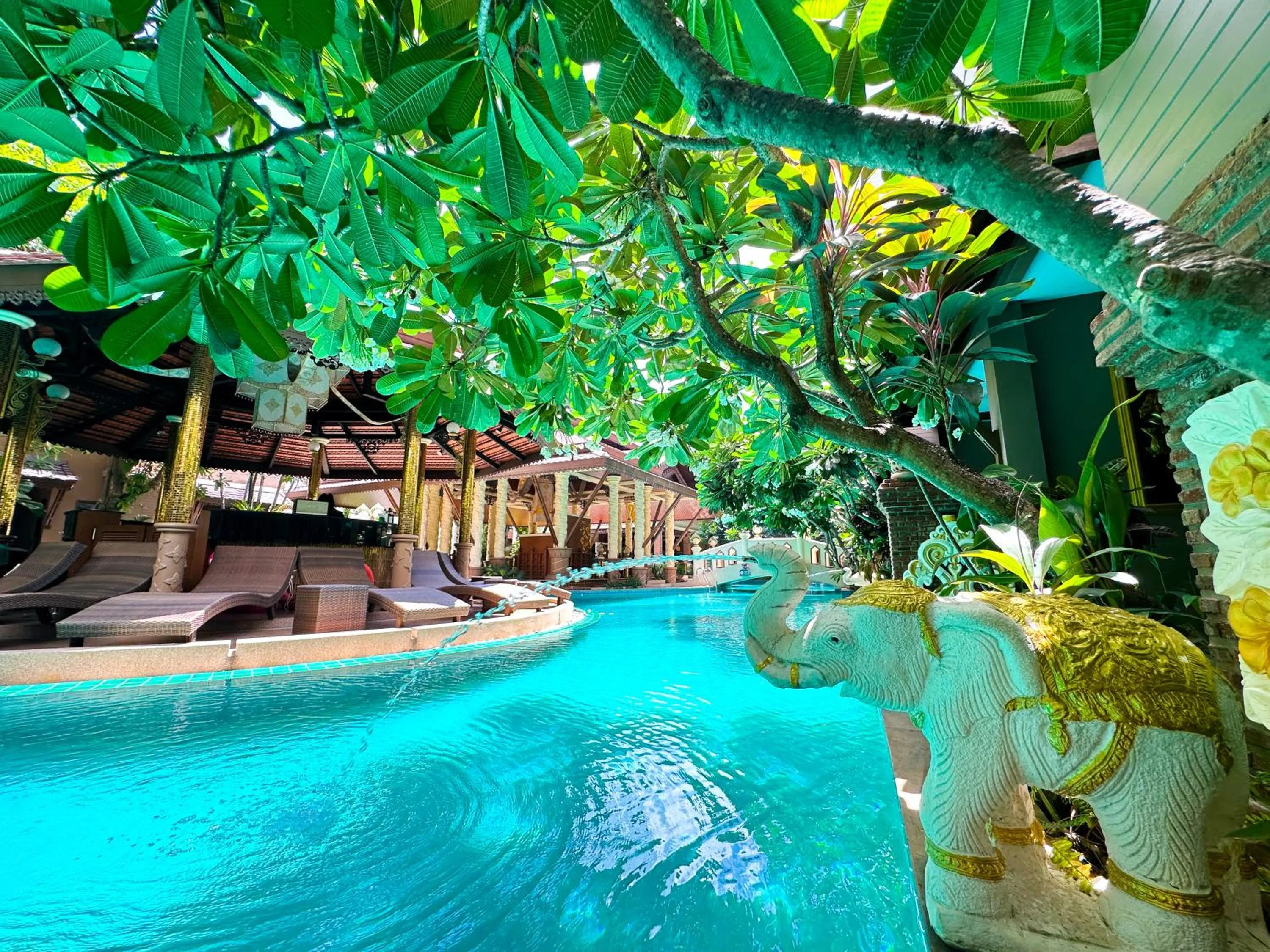 Pool view in Quality Beach Resorts and Spa Patong