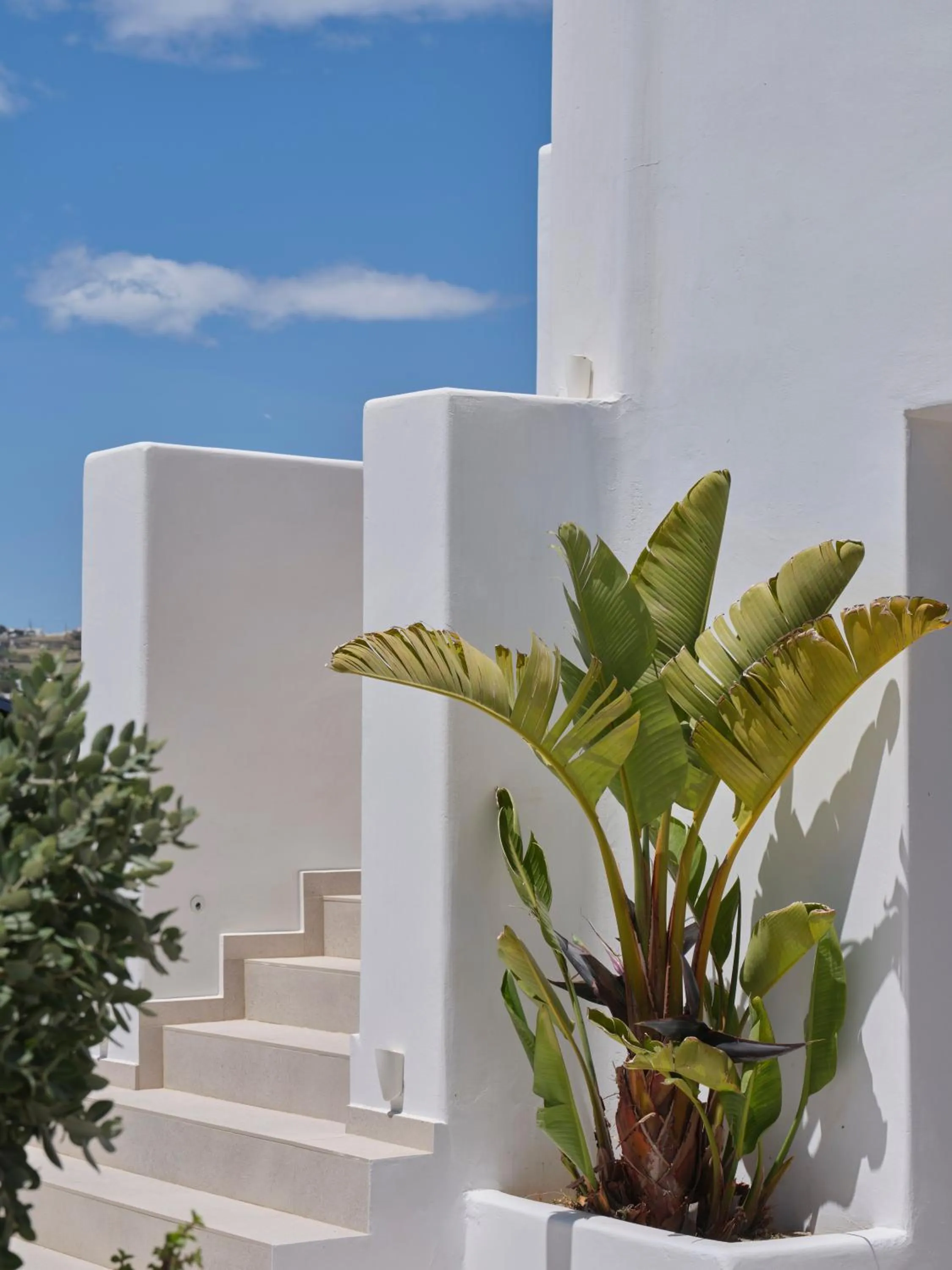 Le Palme Mykonos