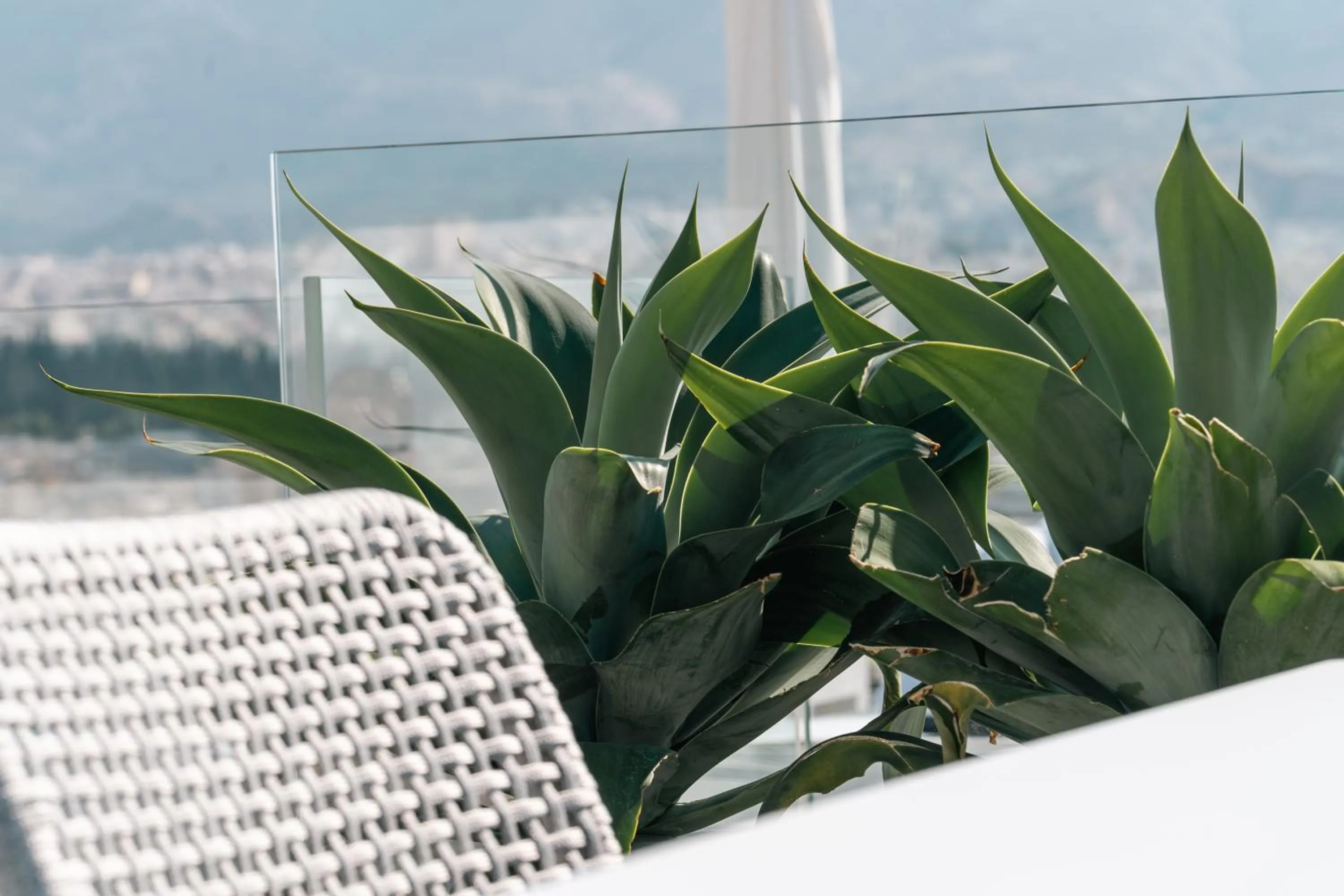 Restaurant/places to eat in Neoma