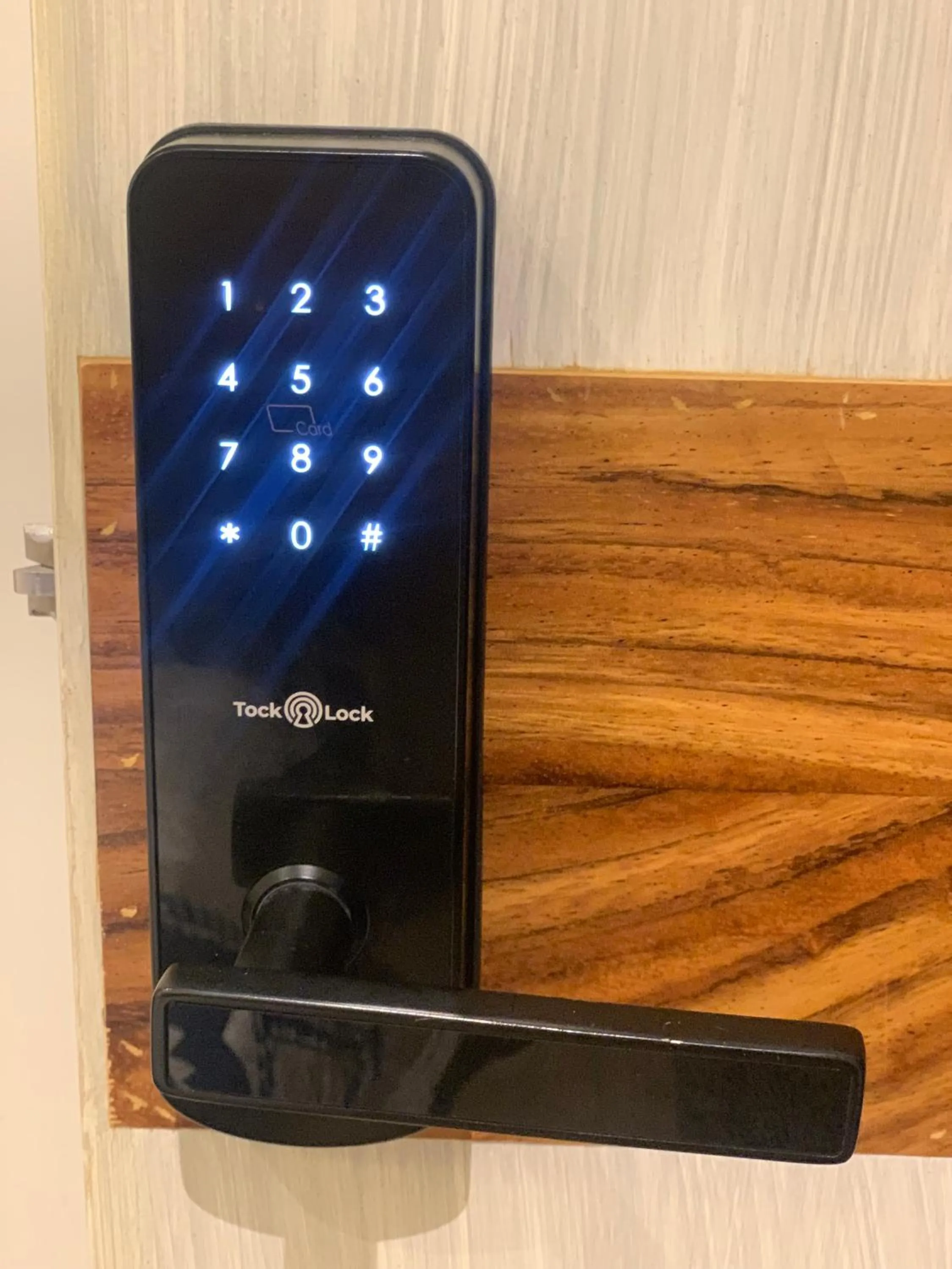 Photo of the whole room in BERTHEL SUITES