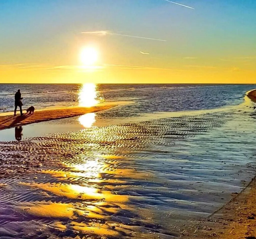 Natural landscape in Alla Pergola
