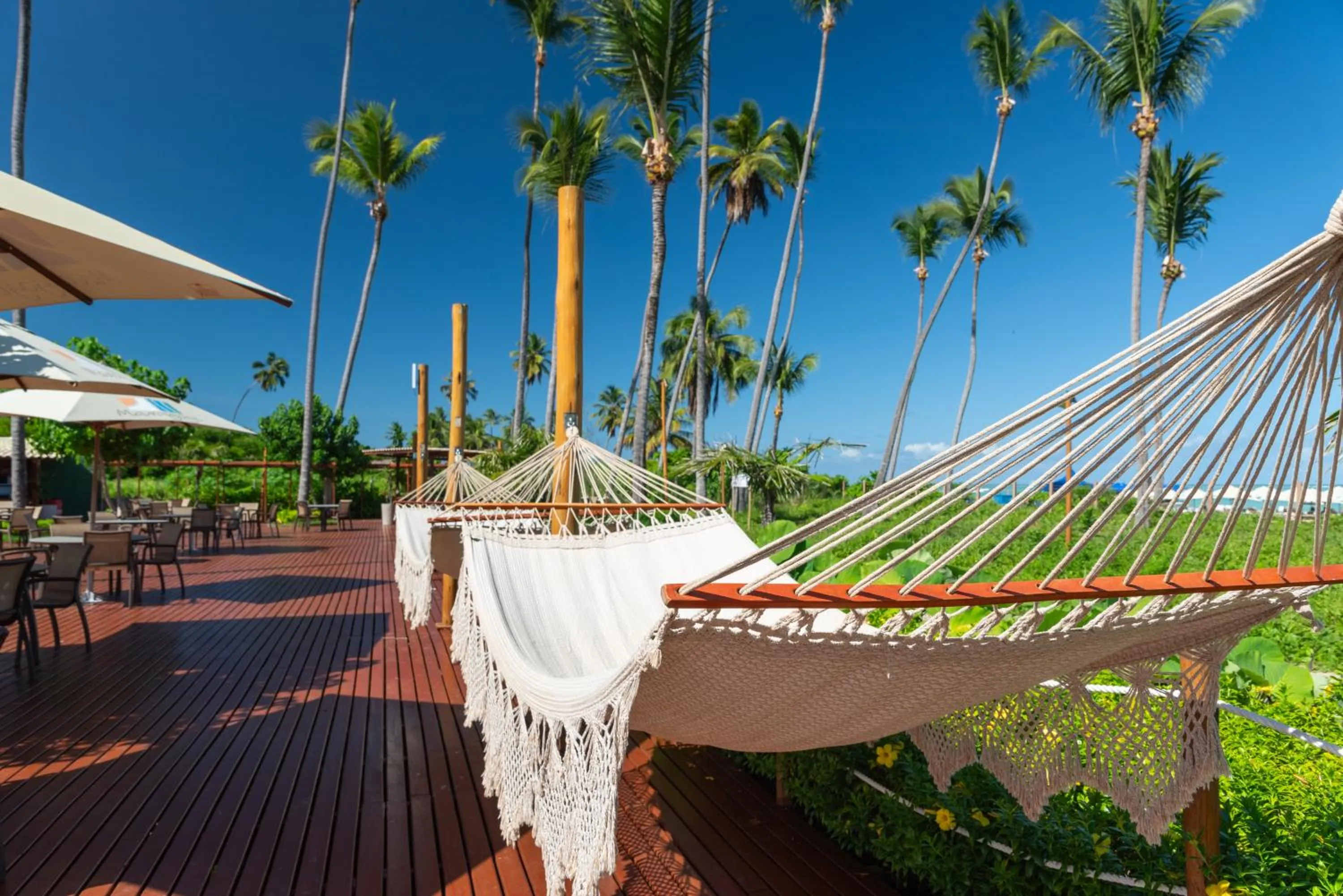 Natural landscape in Maragogi Brisa Exclusive Hotel