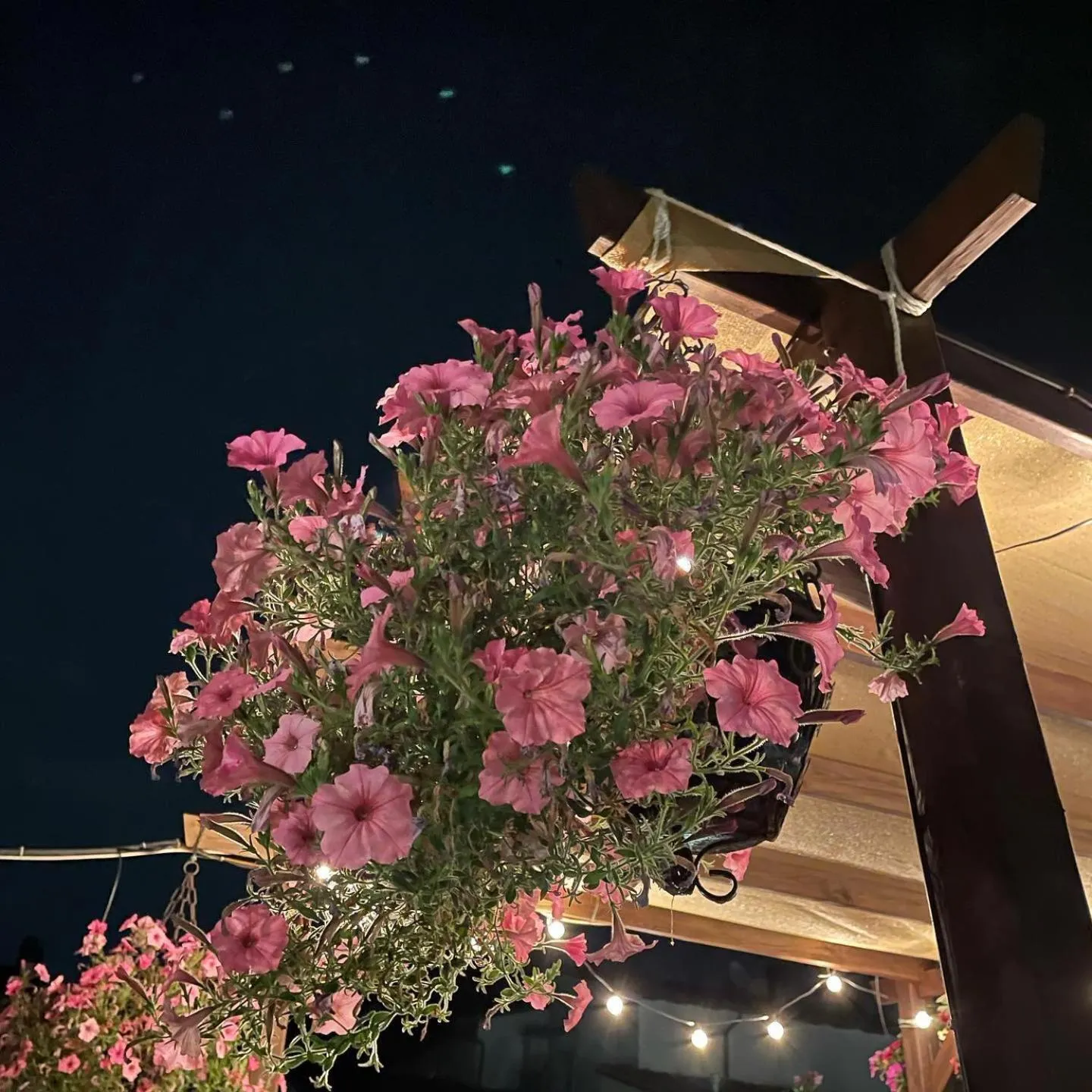 Balcony/Terrace in Argentiere Room Apartments