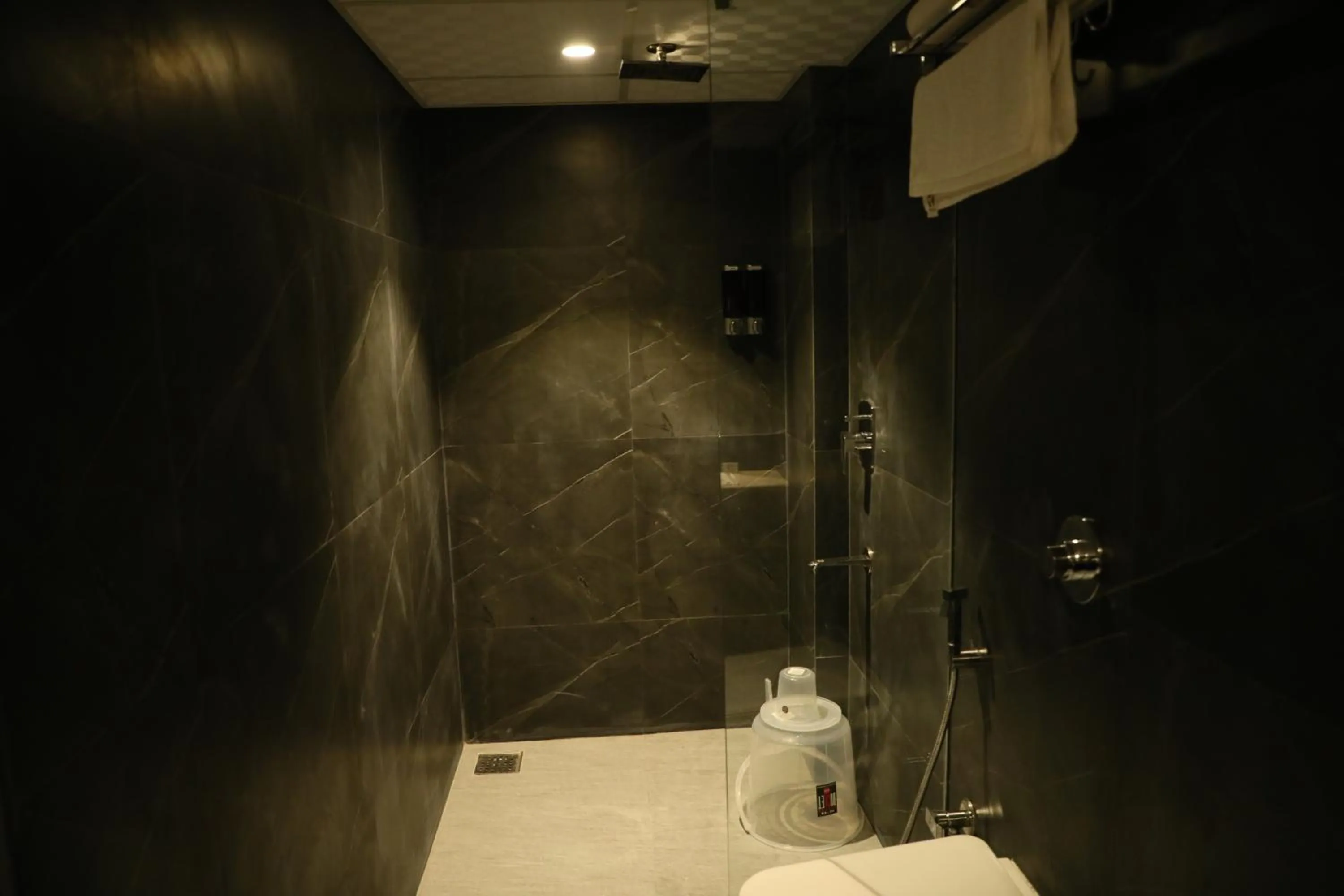 Toilet in Rich Hotel Mumbai