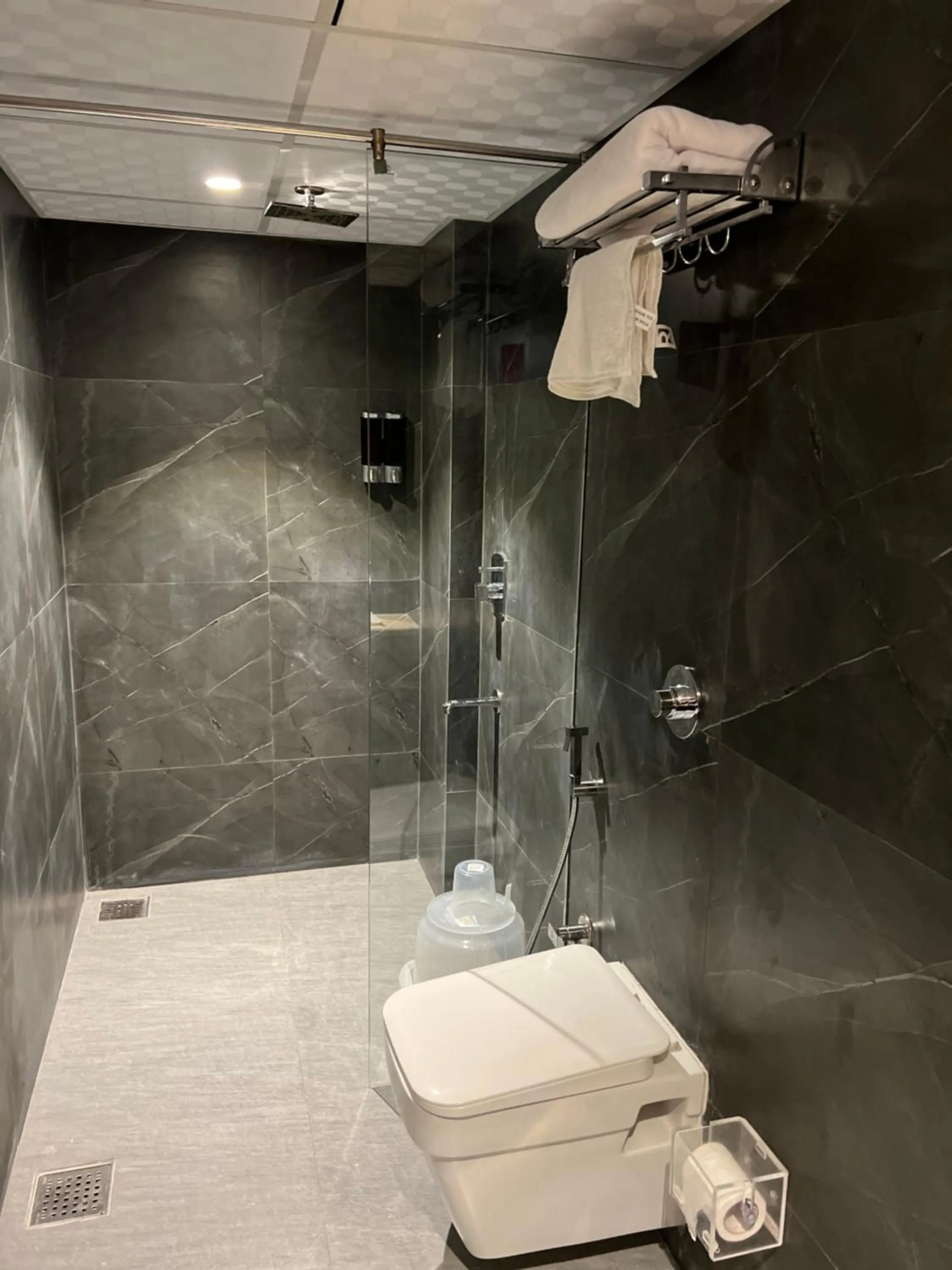 Shower in Rich Hotel Mumbai