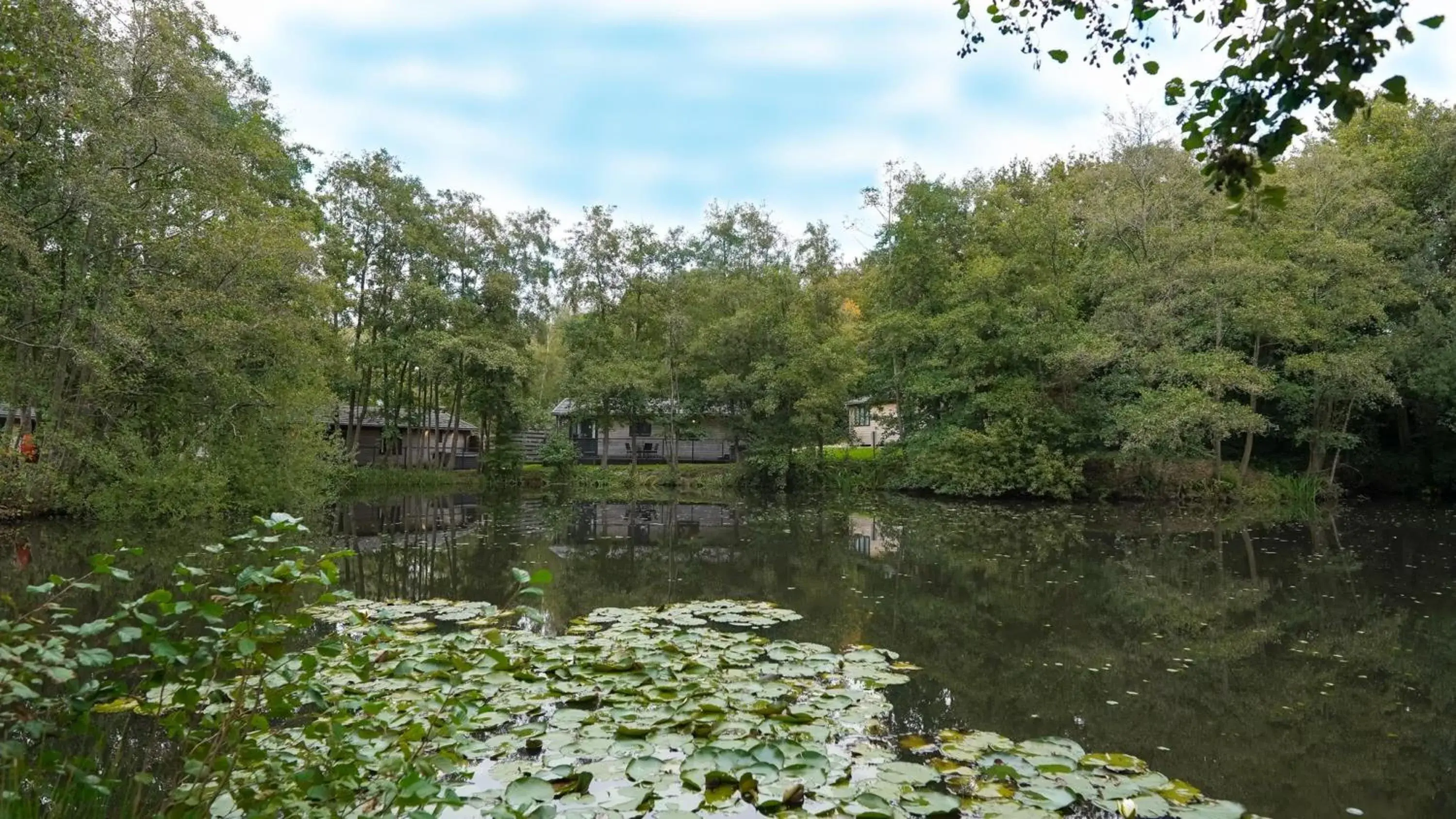 Two-Bedroom House in Warrenwood Country Park Two-Bedroom House in Warrenwood Country Park