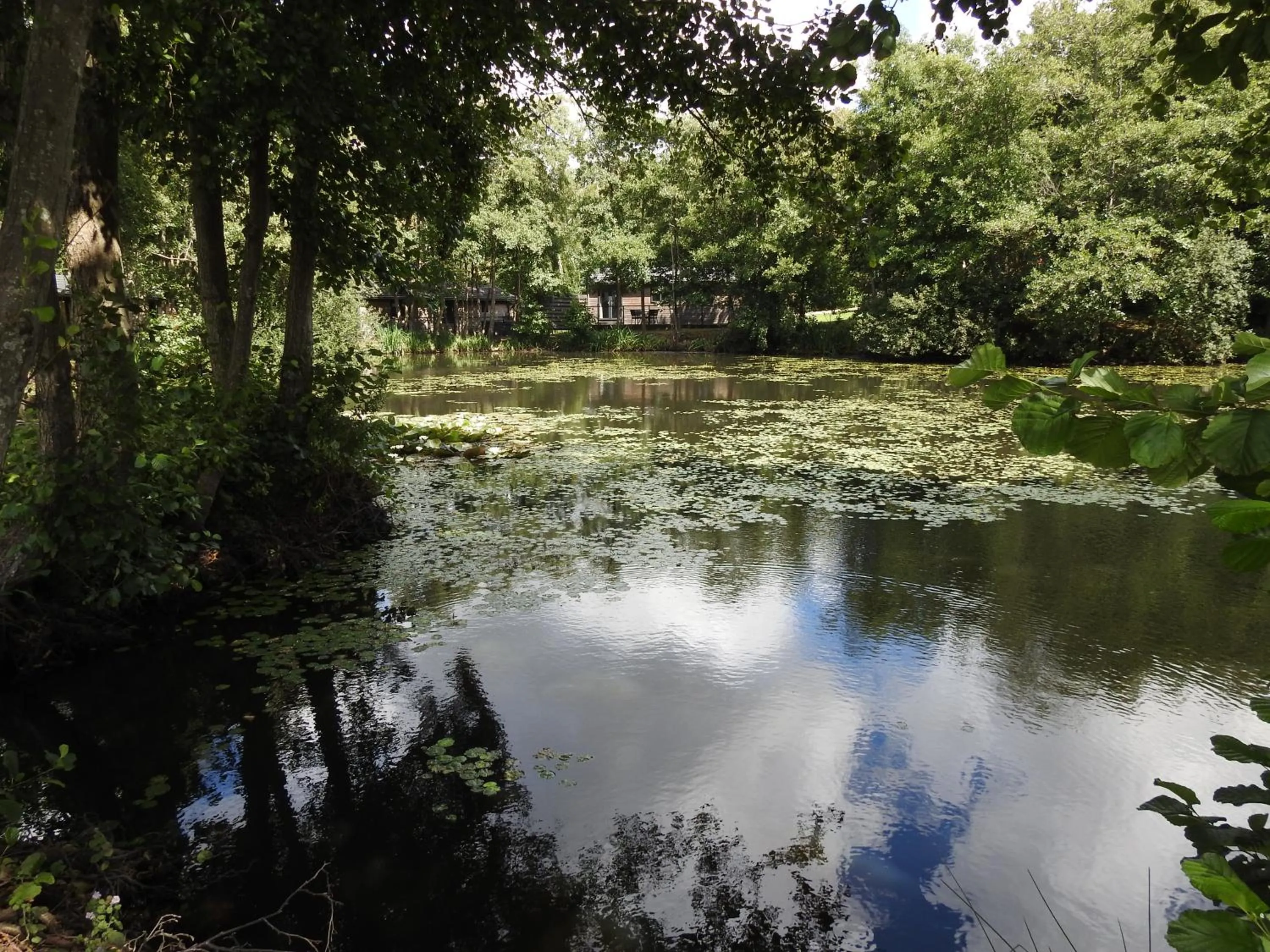 Warren Wood Country Park
