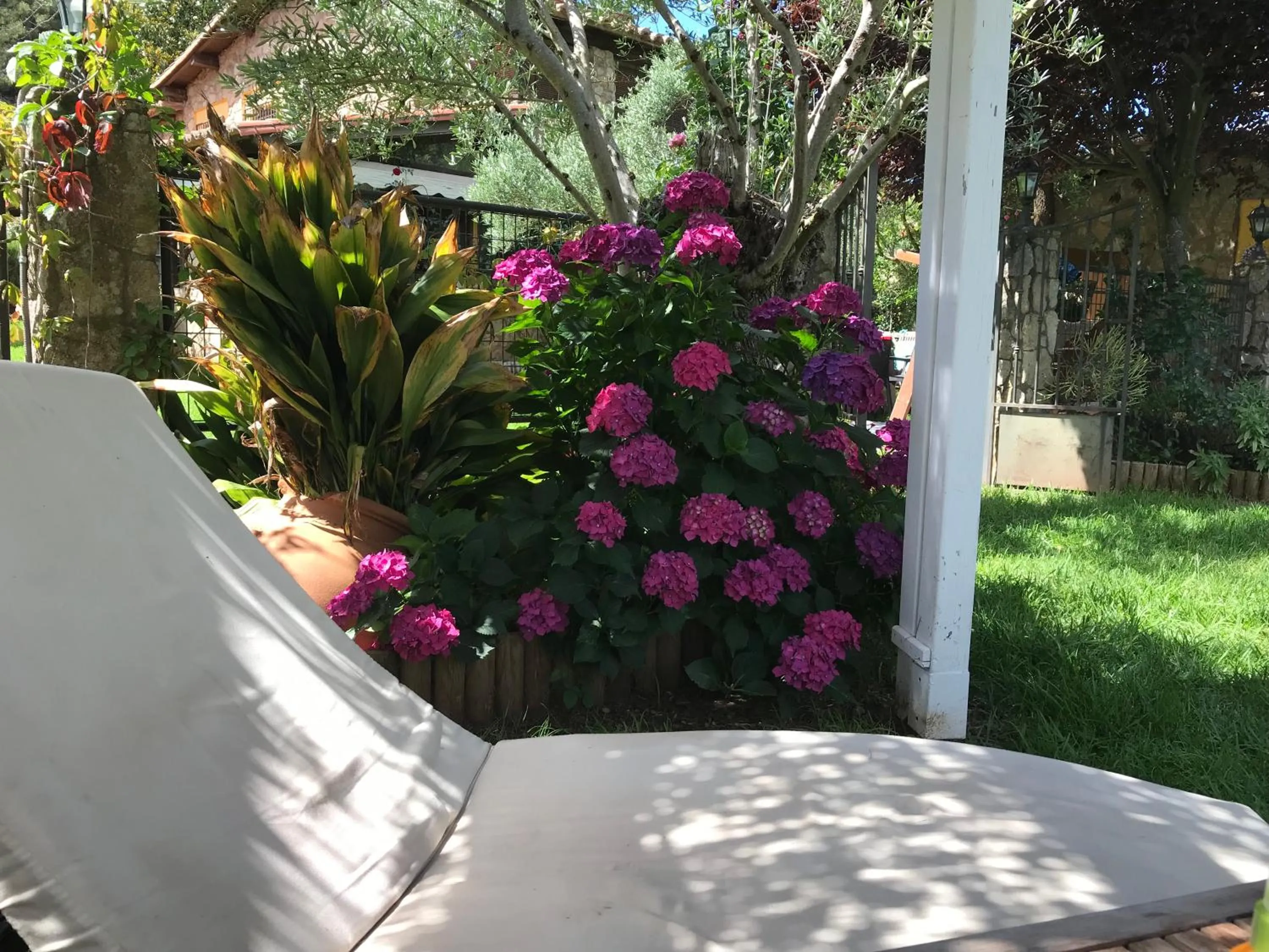 Garden in Finca Vergel