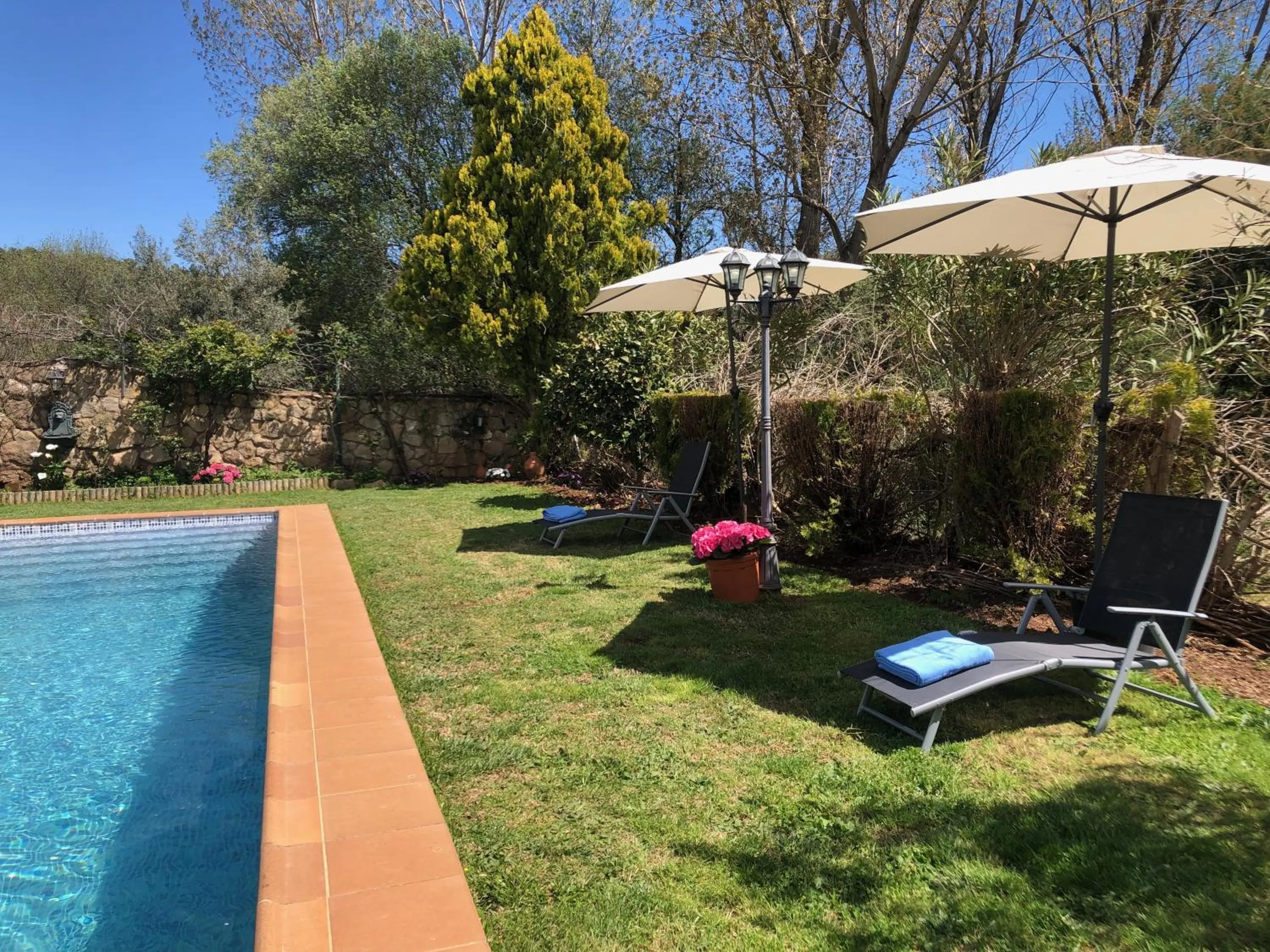 Swimming pool in Finca Vergel