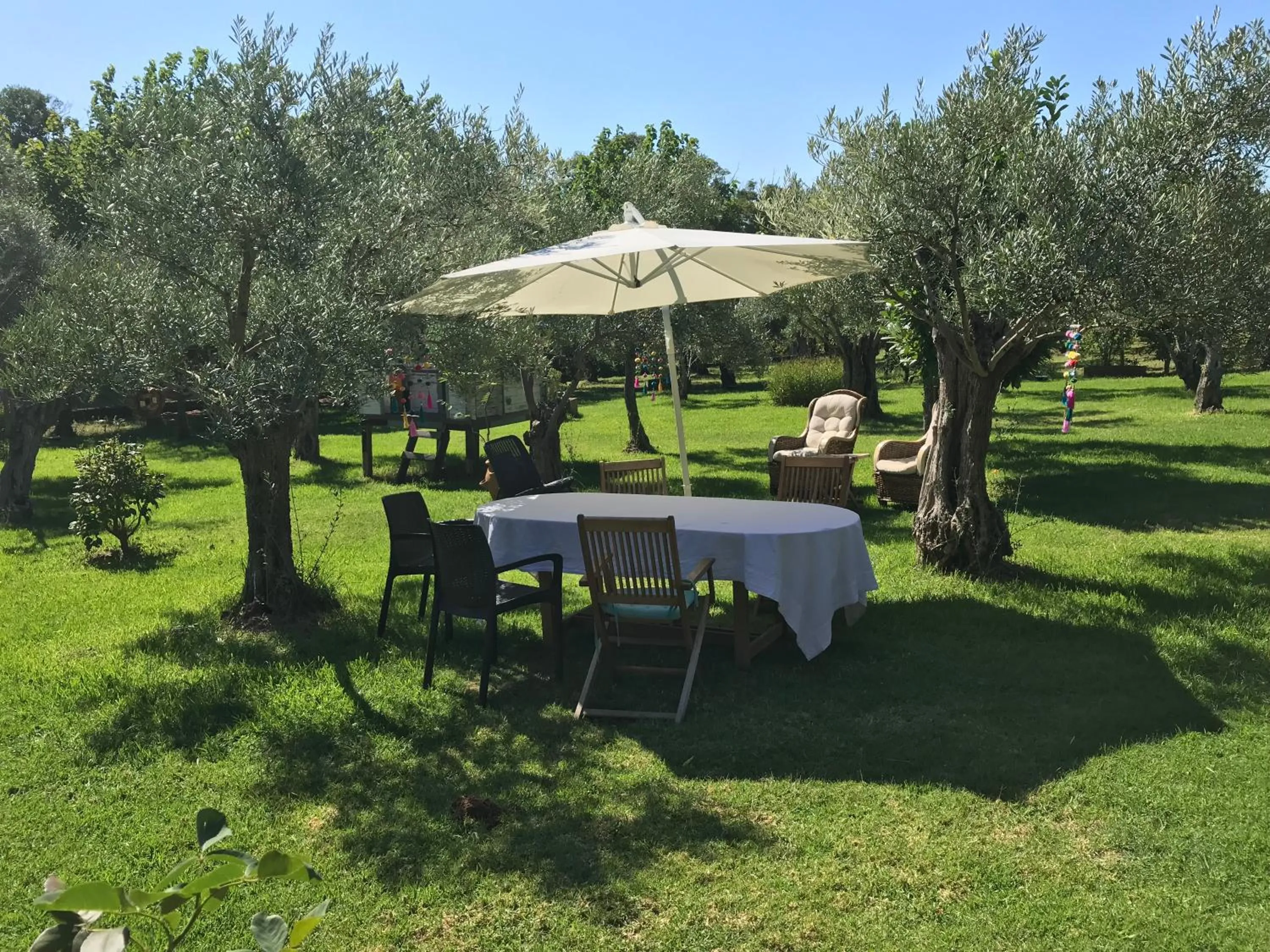 Garden view in Finca Vergel