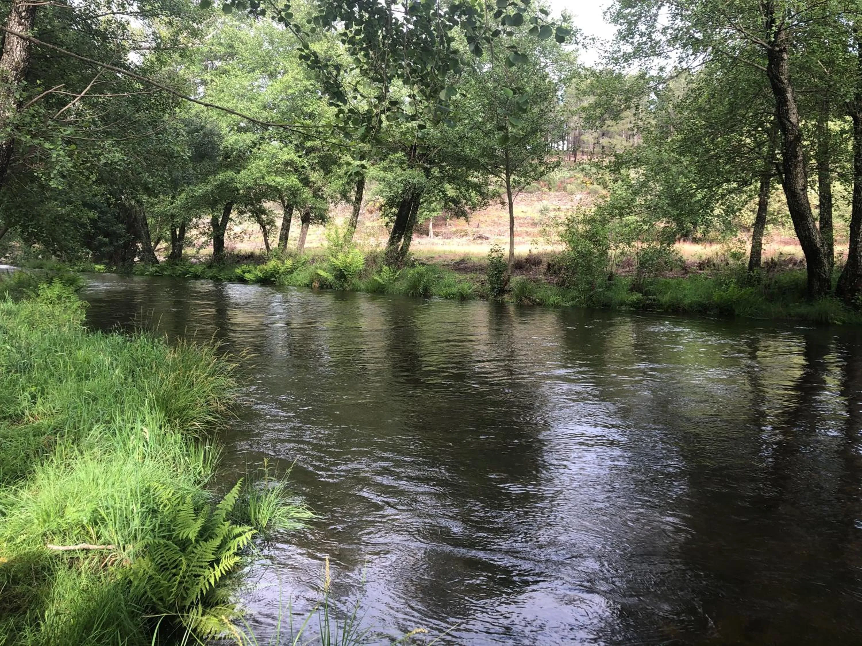 Swimming pool in Finca Vergel