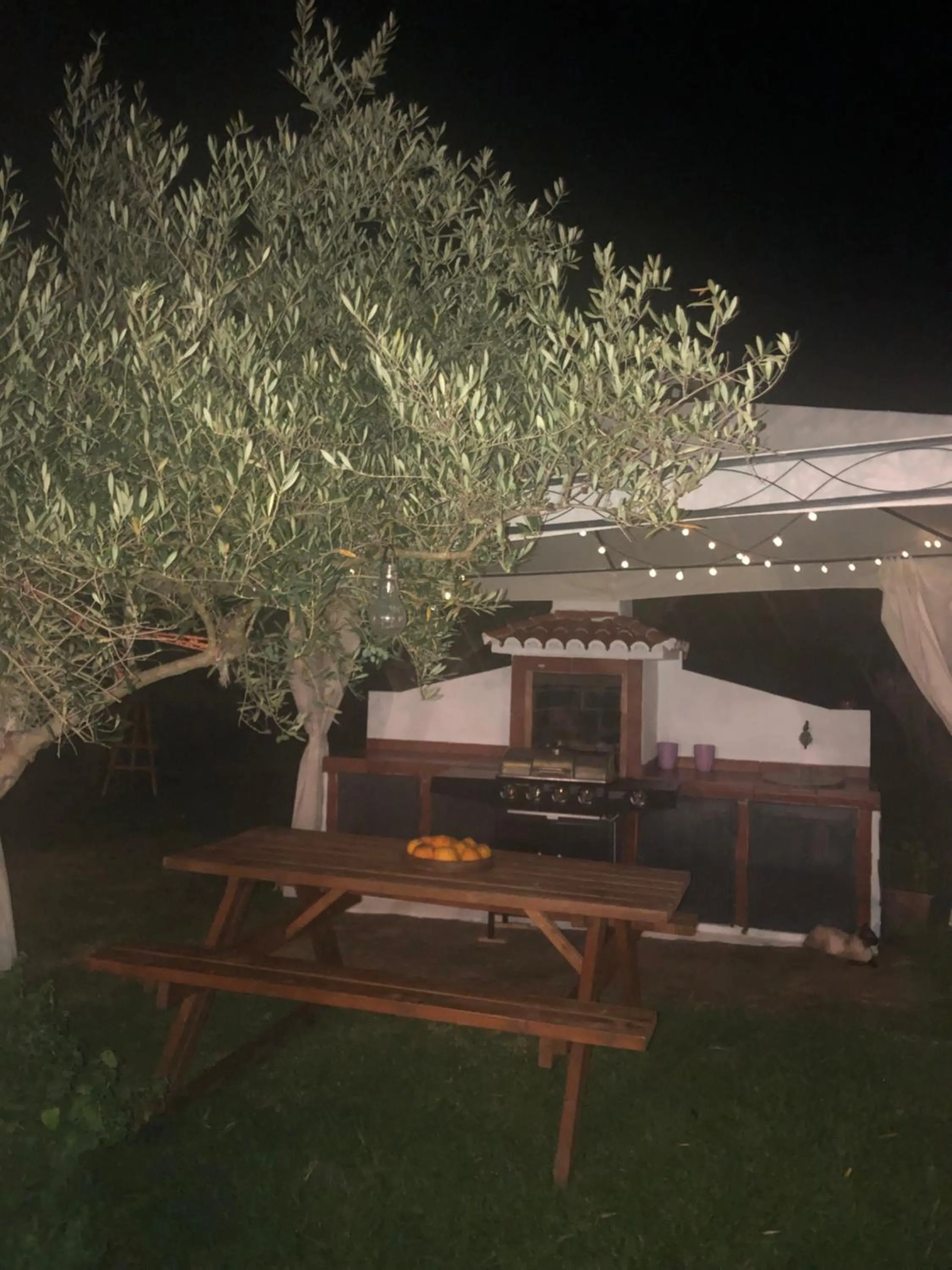 BBQ facilities in Finca Vergel