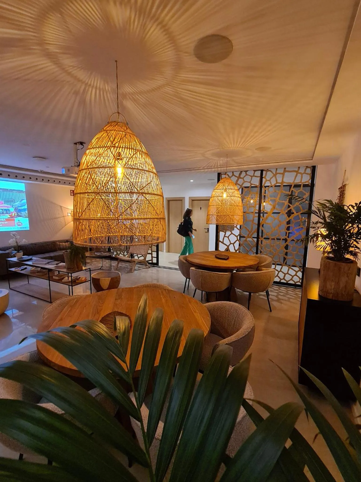 TV and multimedia in S´Estancia Suites