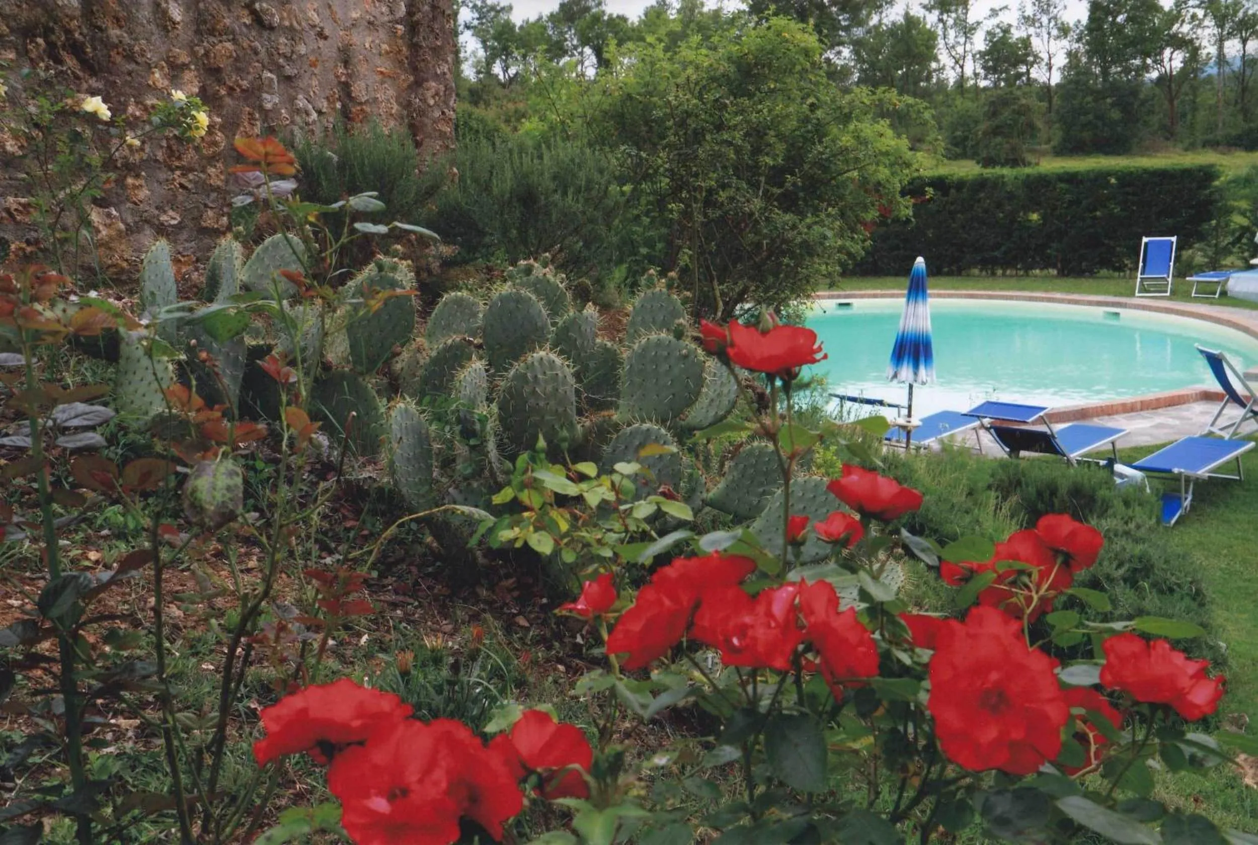 Swimming pool in Agriturismo La Selva