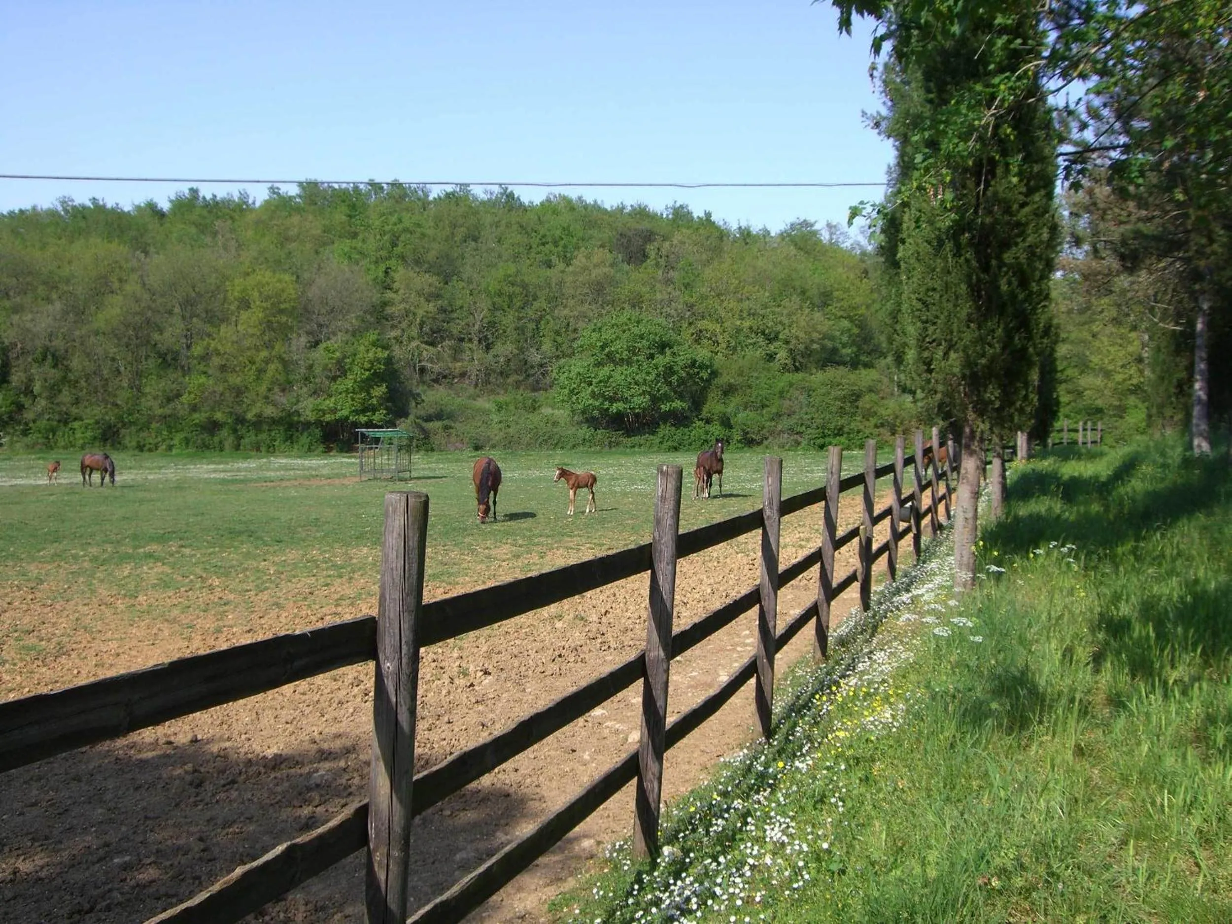 View (from property/room) in Agriturismo La Selva