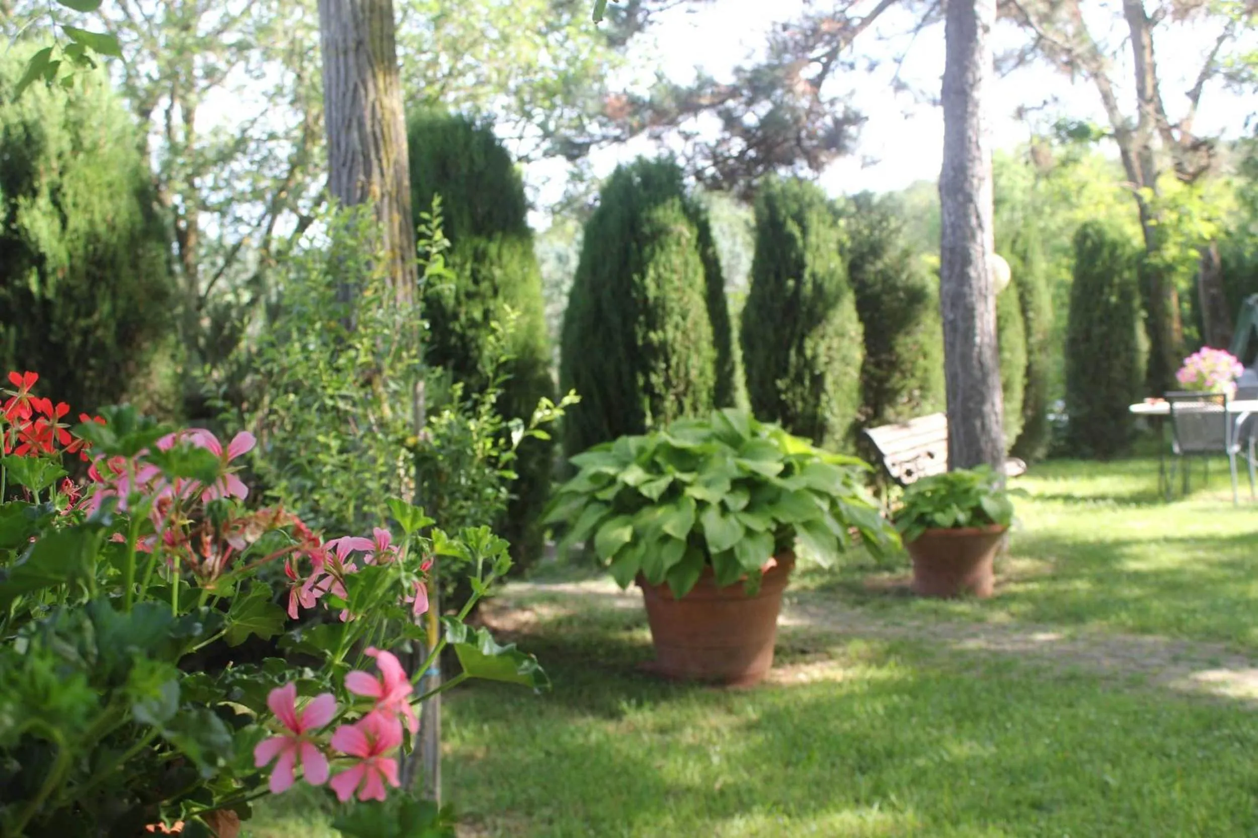 Garden in Agriturismo La Selva