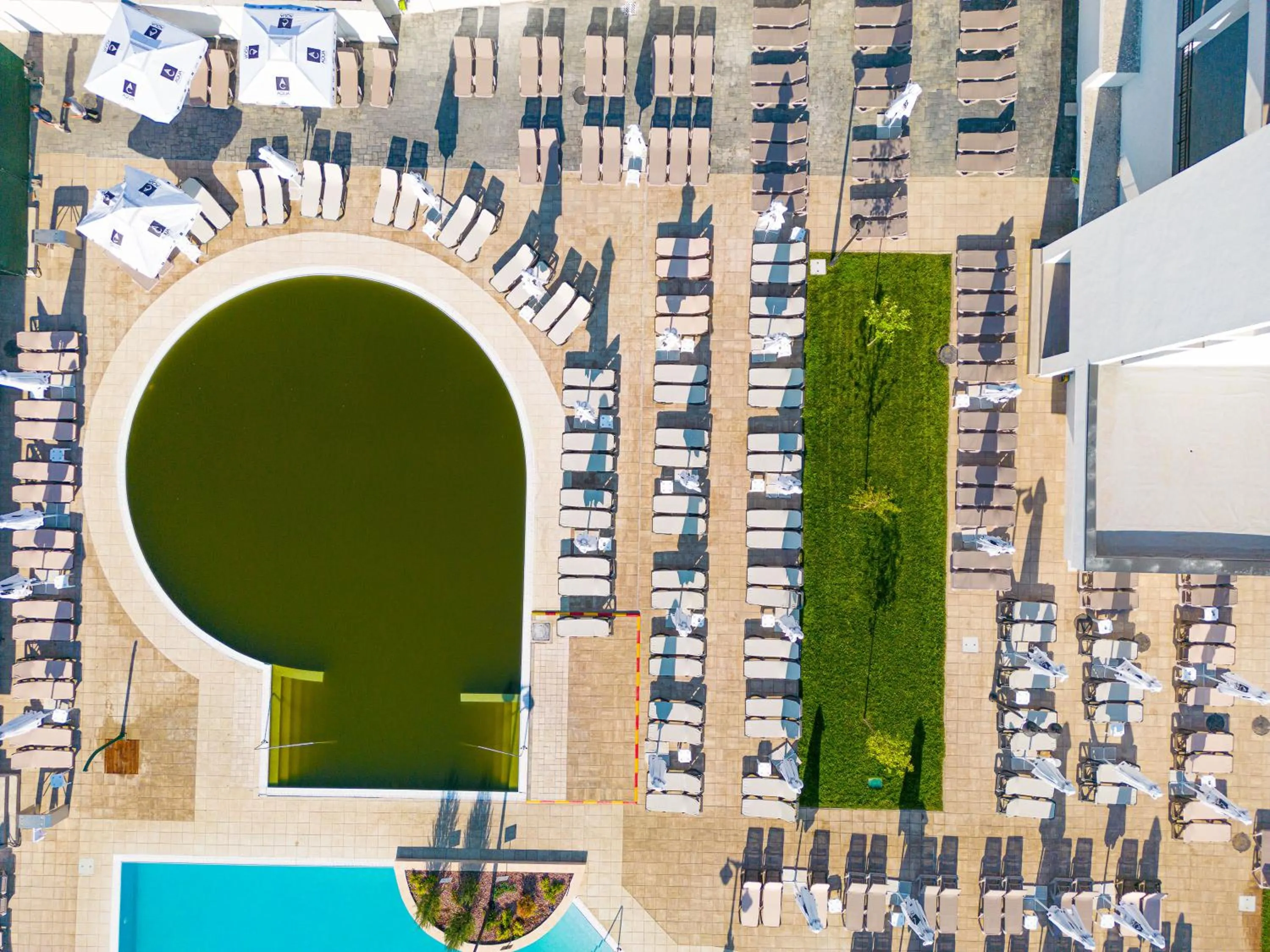 Lounge or bar in Alma Health & Spa Retreat