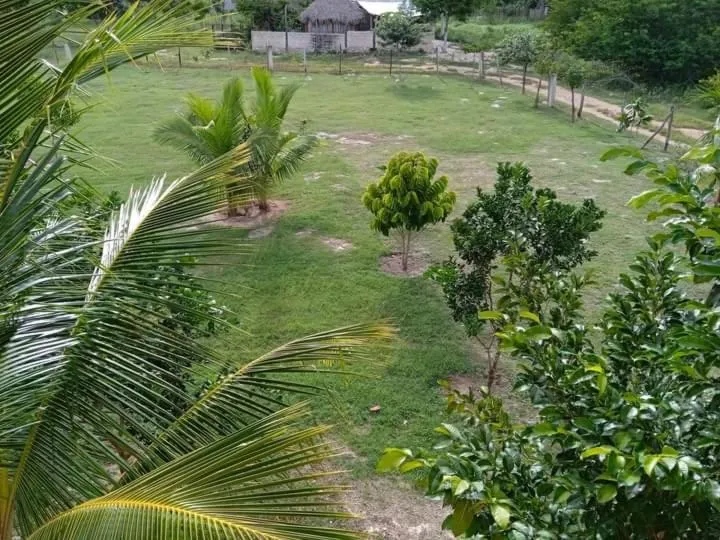 Day in Ecohotel Shalom