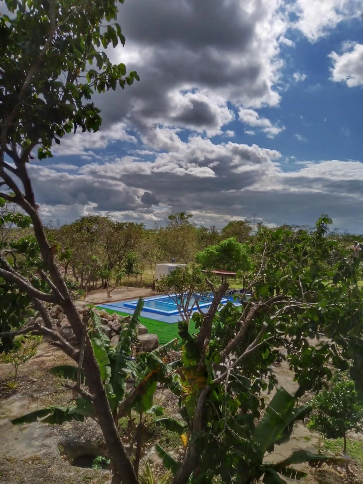 Pool view in Ecohotel Shalom