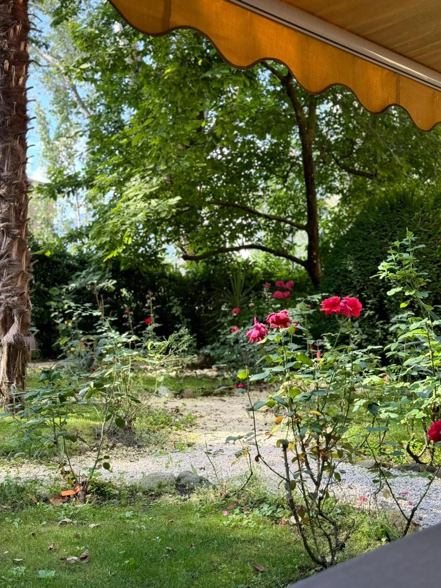 Garden in Hotel Villa Westend