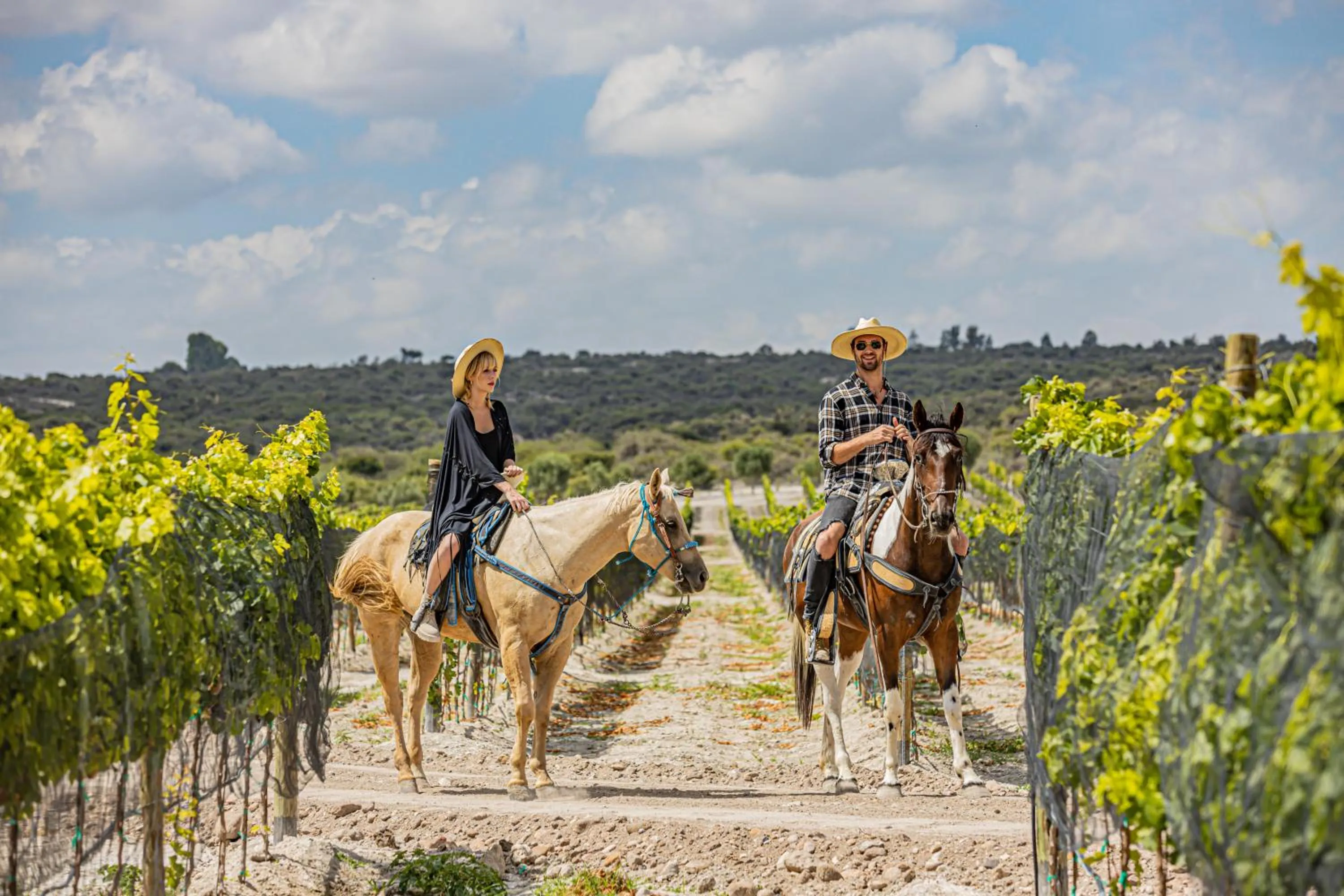 Activities in Viatura Omún, San Miguel de Allende, with Optional All Inclusive