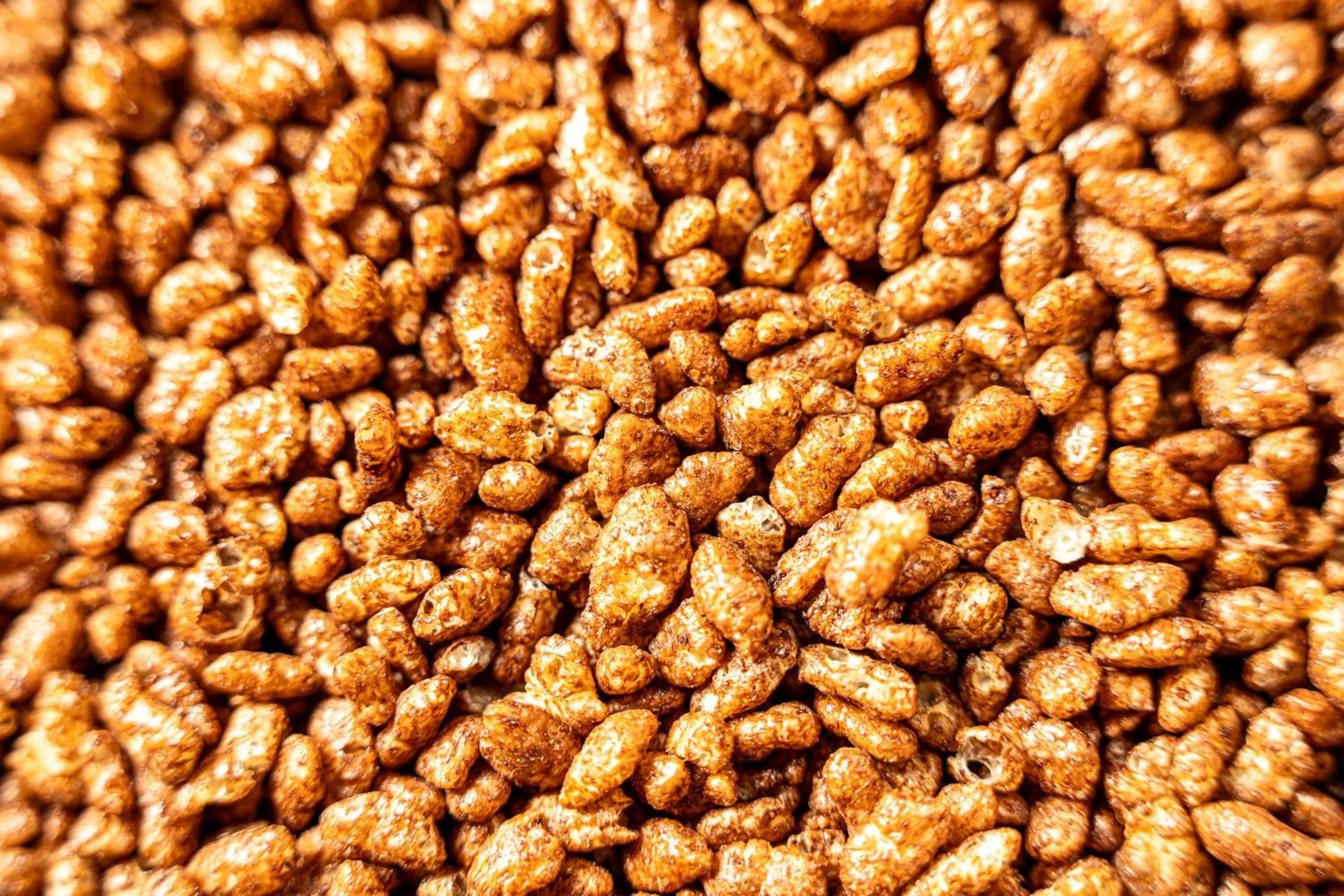 Breakfast in Tulip Inn Turin South