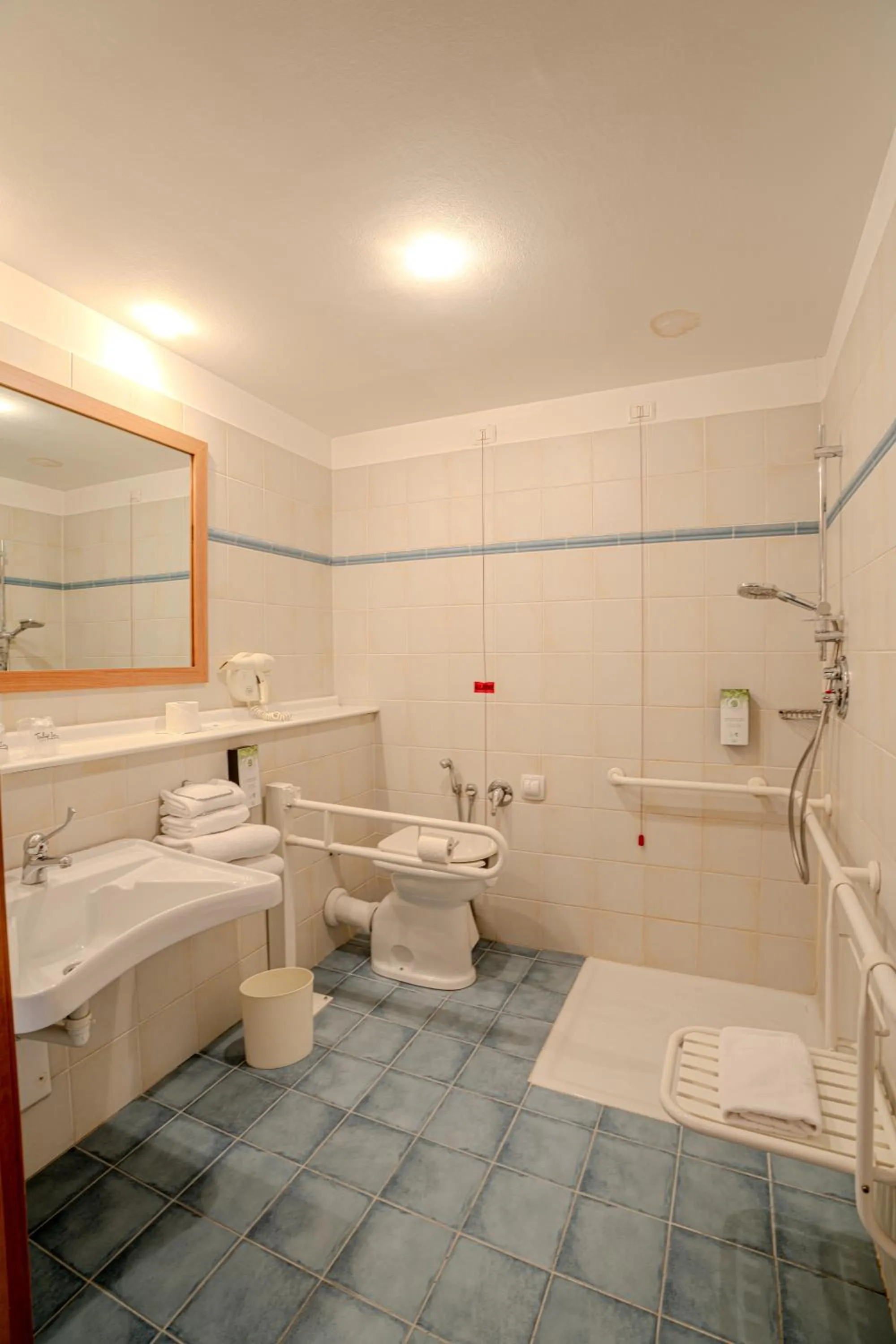 Facility for disabled guests in Tulip Inn Turin South