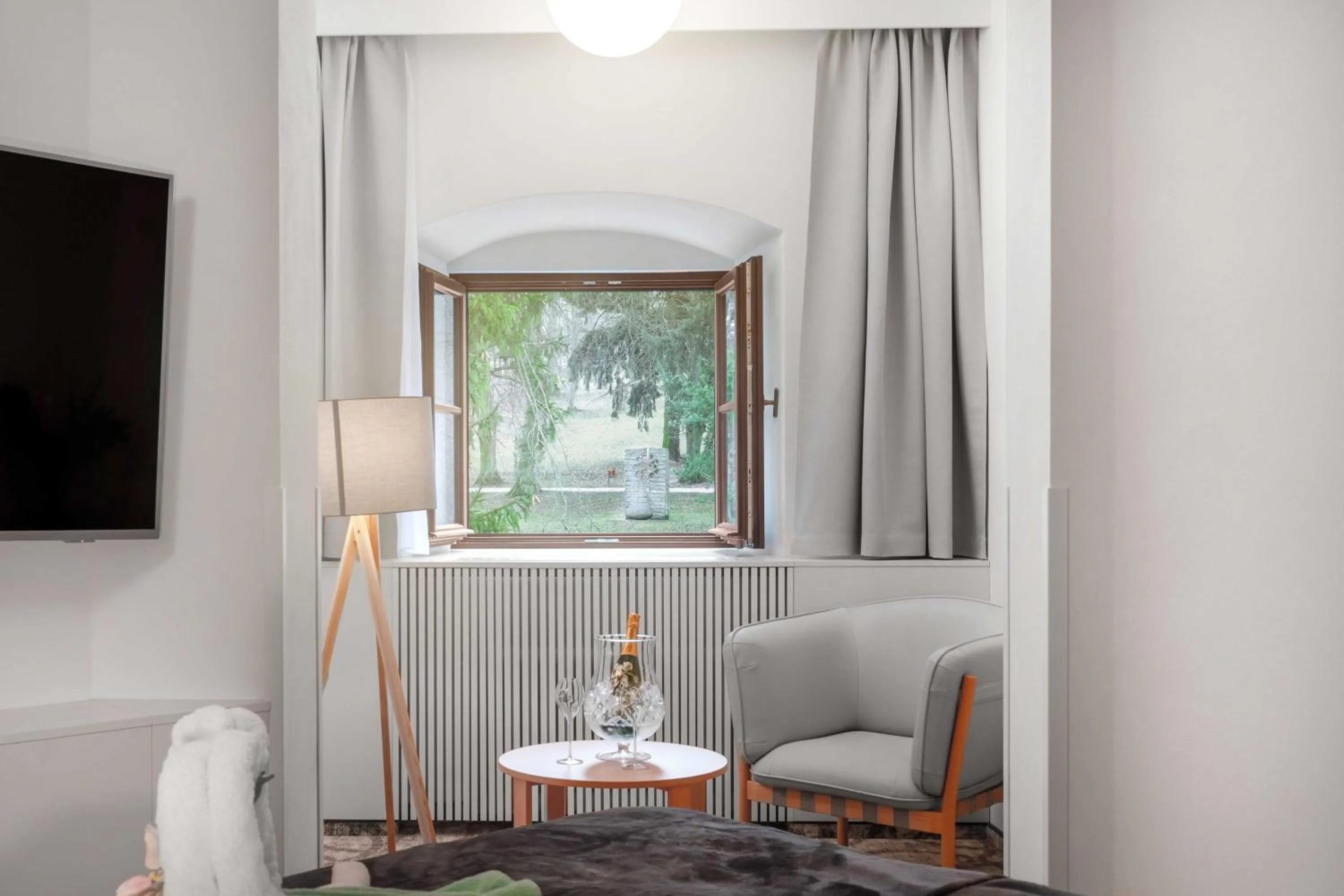 View (from property/room) in Zámek Třešť