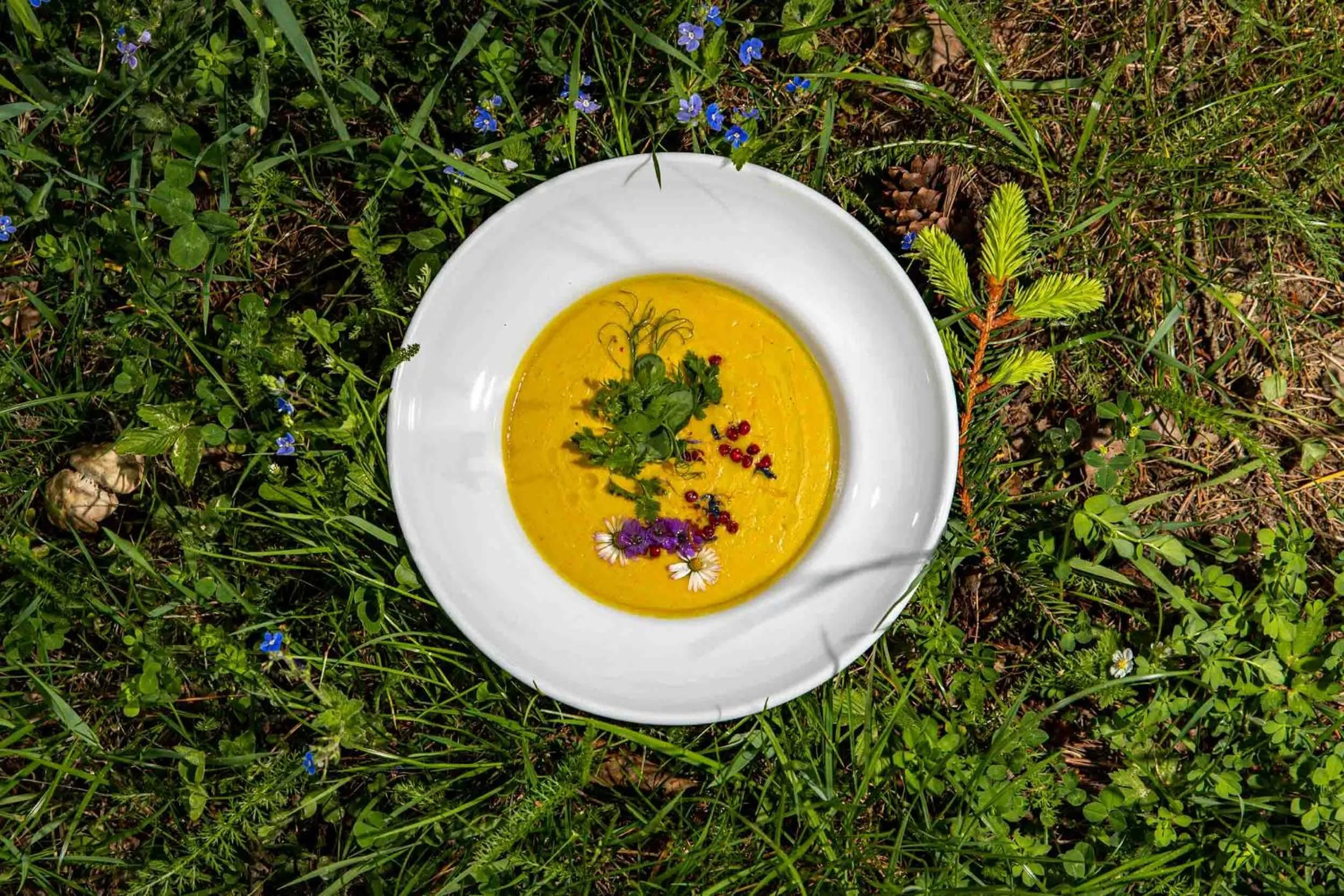 Food in Zámek Třešť