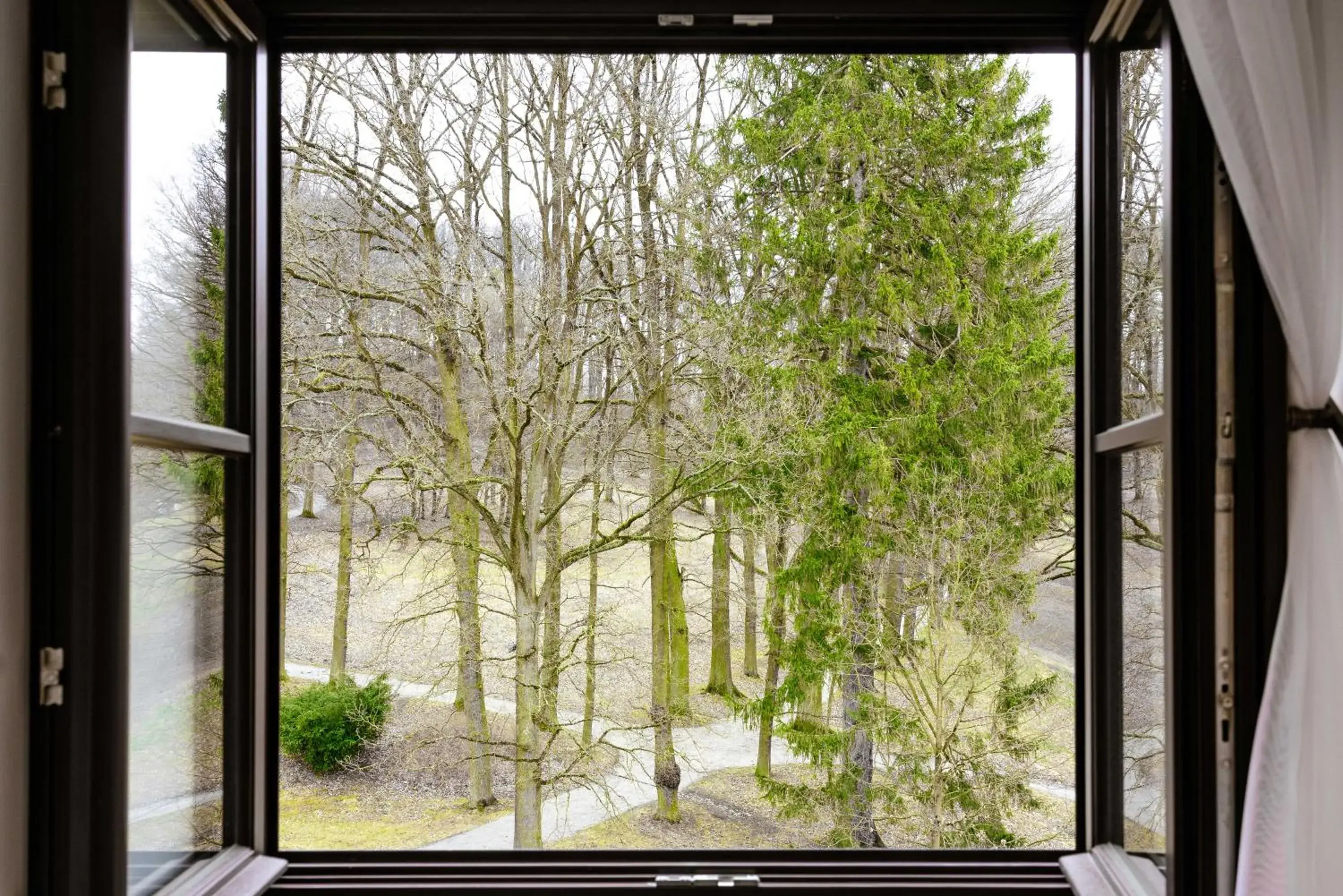 Deluxe Family Room - single occupancy in Zámek Třešť Deluxe Family Room - single occupancy in Zámek Třešť