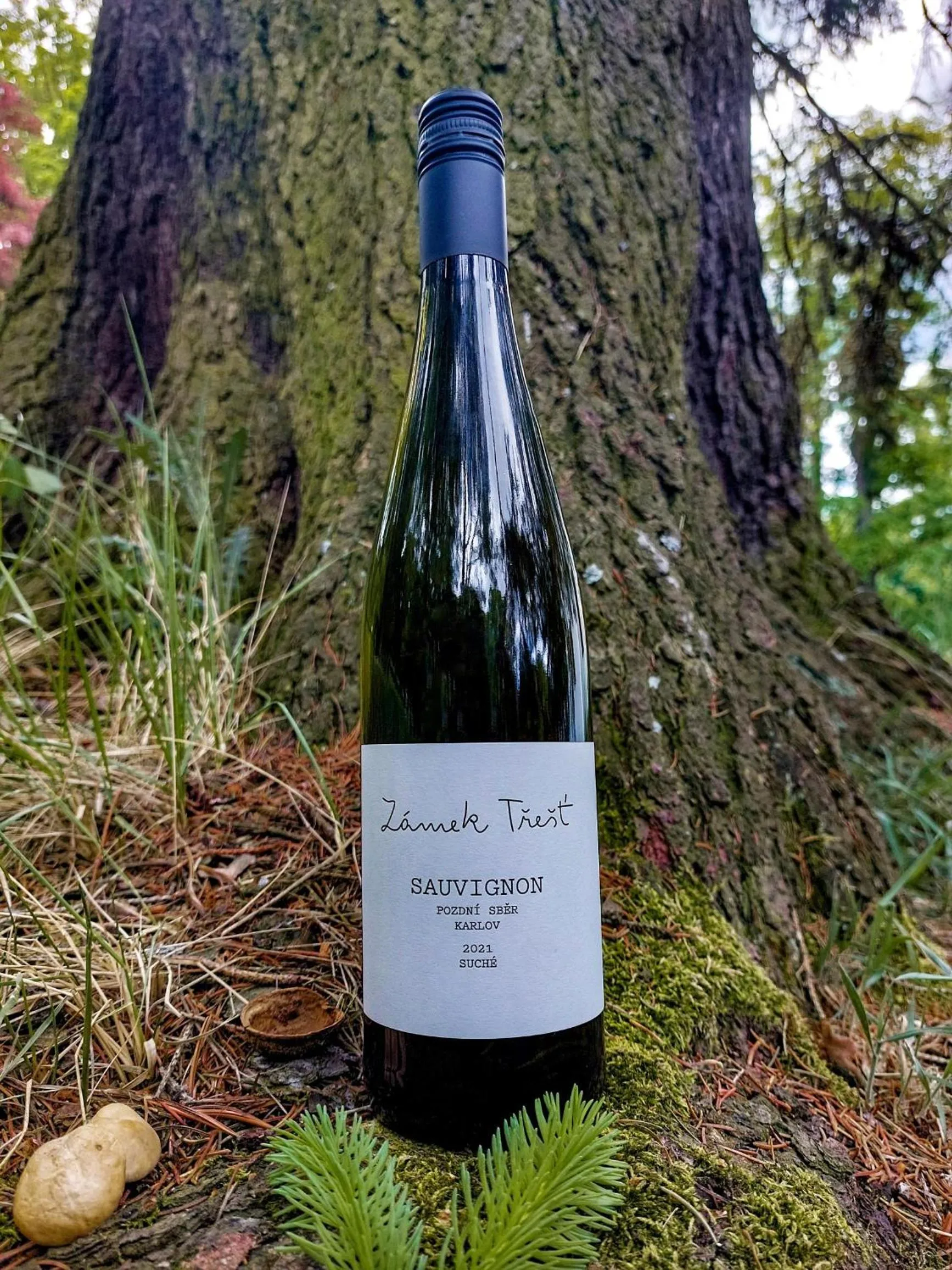 Alcoholic drinks in Zámek Třešť