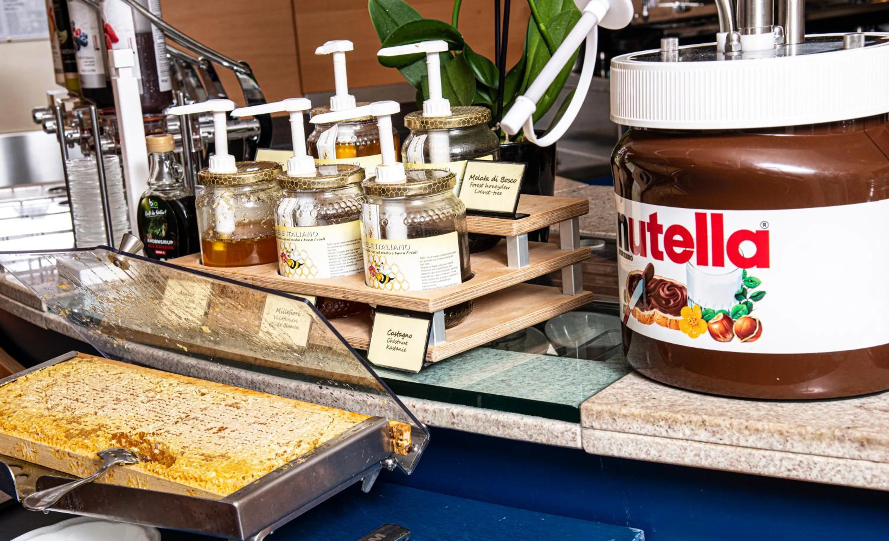 Breakfast in Hotel Bella Venezia Mare