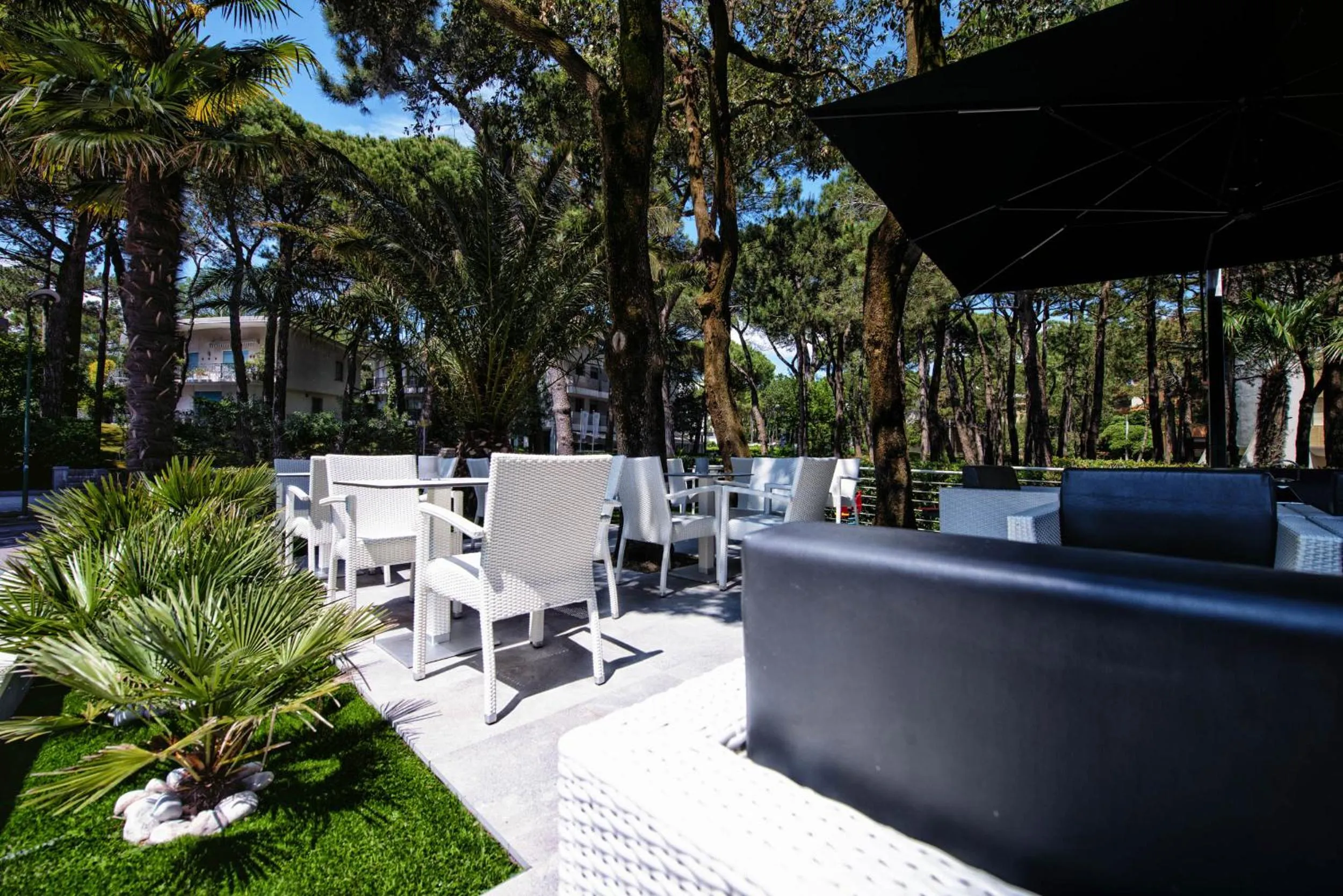 Garden in Hotel Bella Venezia Mare