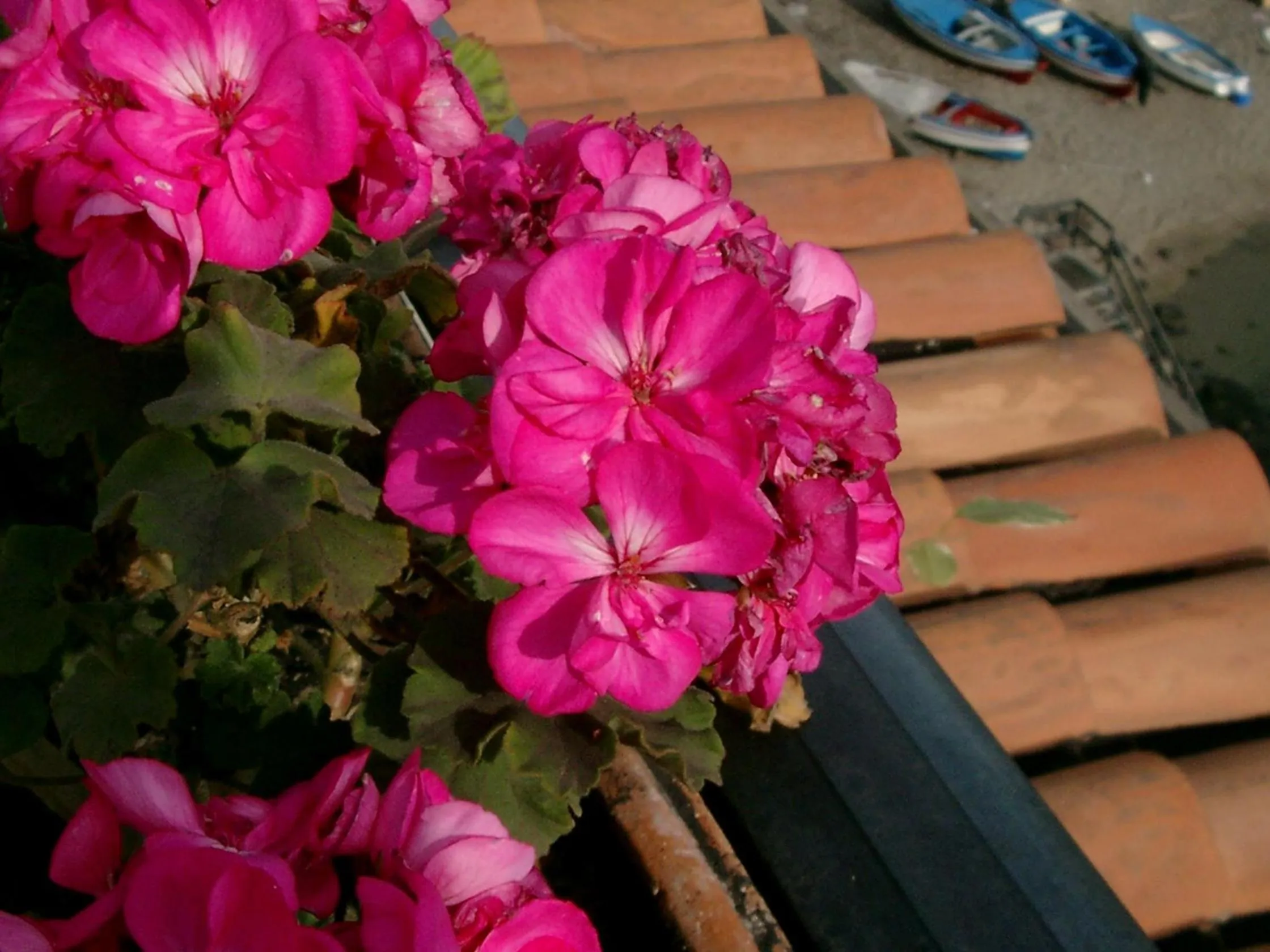 Facade/entrance in Hotel La Riva