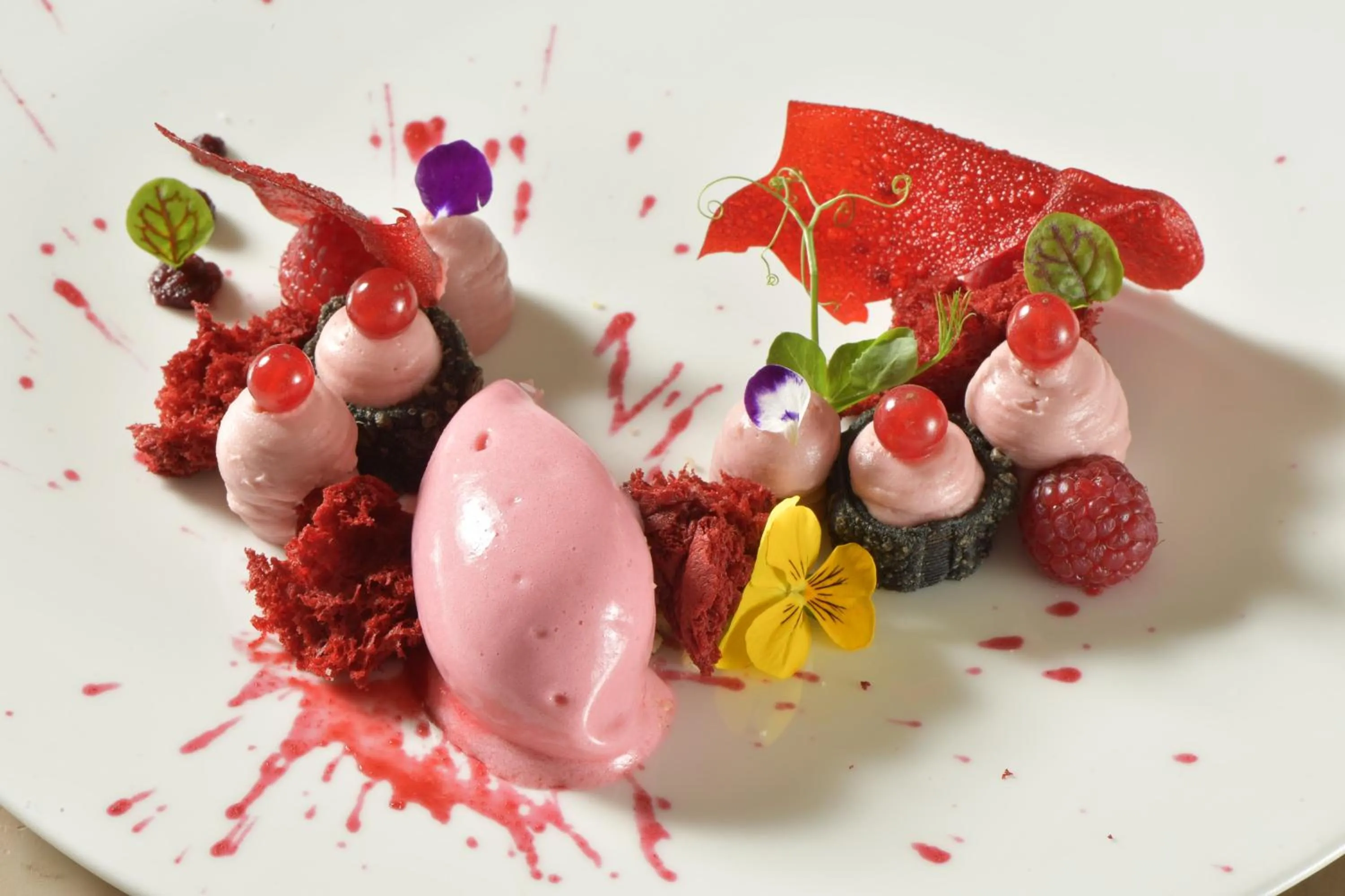 Food in Color Hotel Style, Design & Gourmet