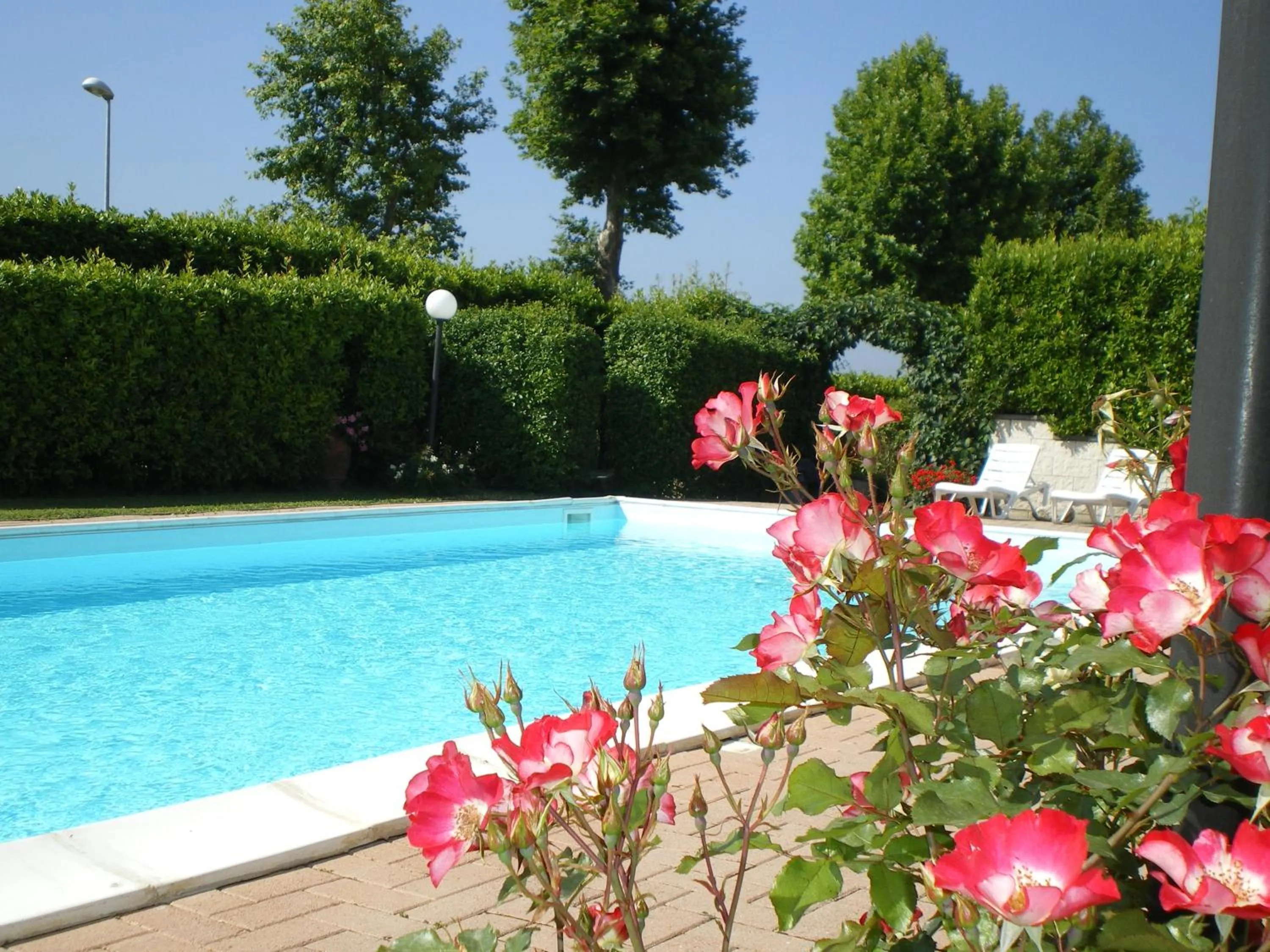 Garden in Le Volpaie