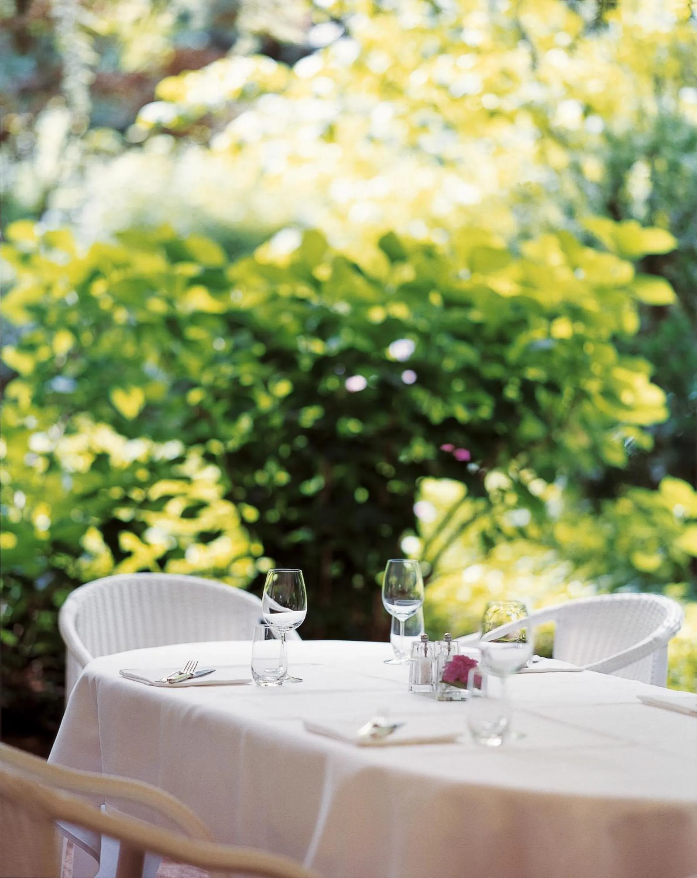 Restaurant/places to eat in Hotel Greif, a Member of Design Hotels