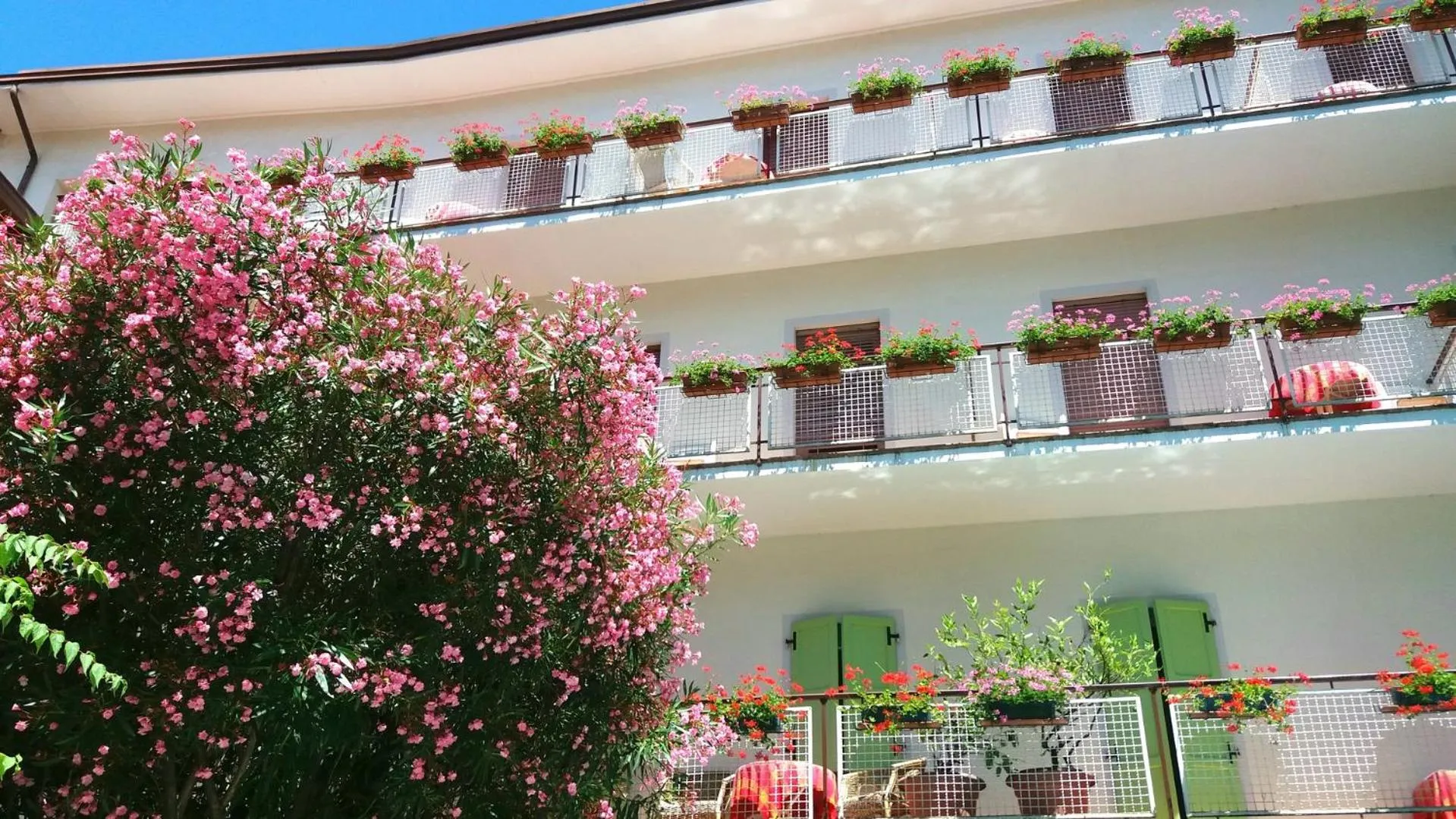 Balcony/Terrace in epOche Hotel Zanella 1889