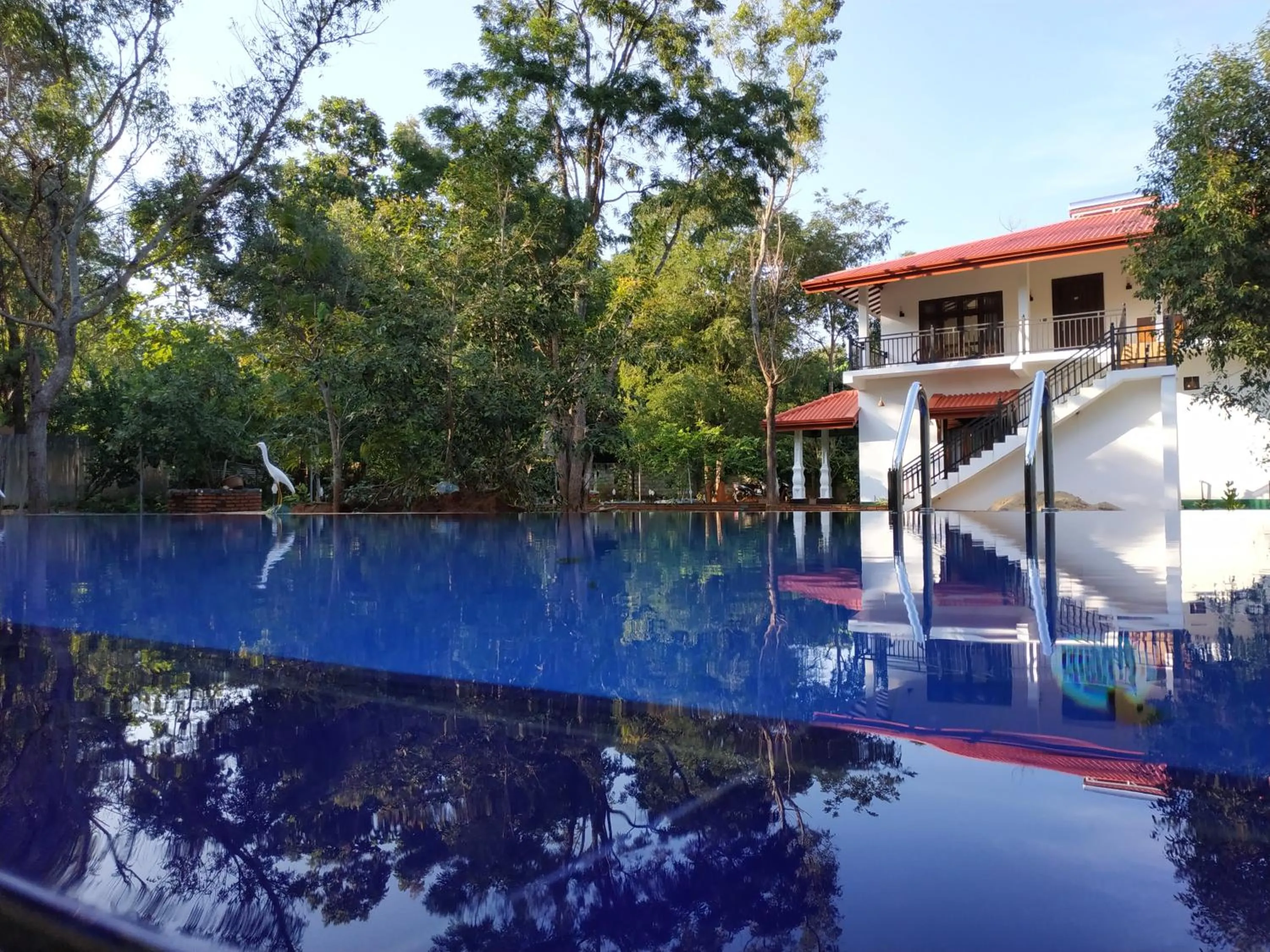 Pool view in Sigiriya Cashew Palace Resort